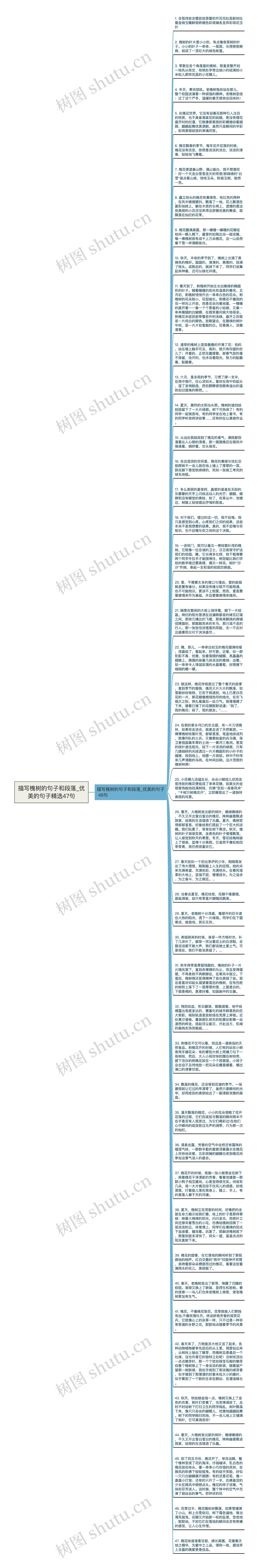 描写槐树的句子和段落_优美的句子精选47句