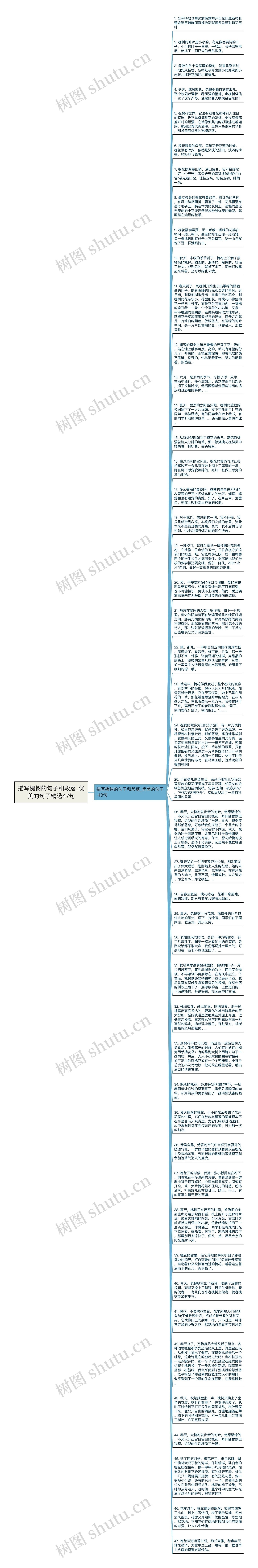 描写槐树的句子和段落_优美的句子精选47句思维导图