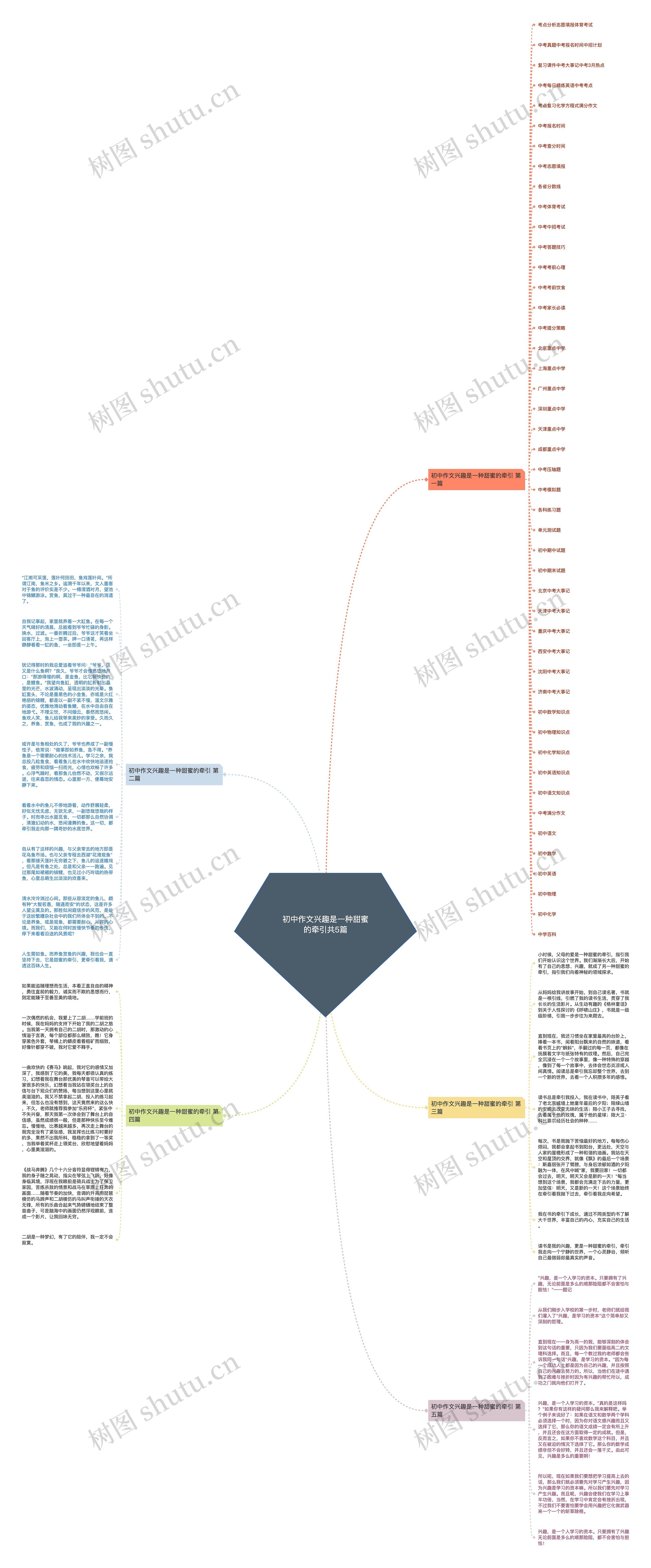 初中作文兴趣是一种甜蜜的牵引共5篇思维导图