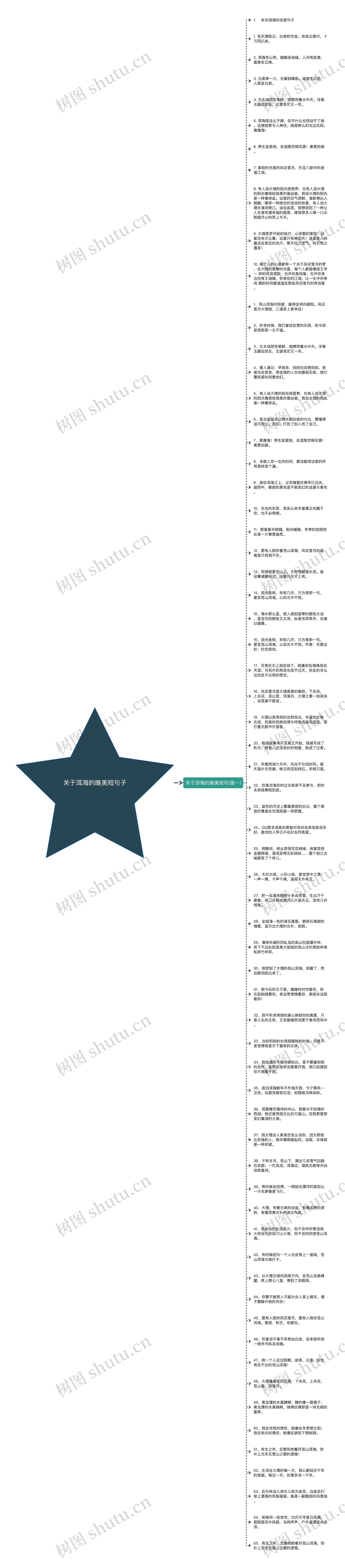 关于洱海的唯美短句子思维导图