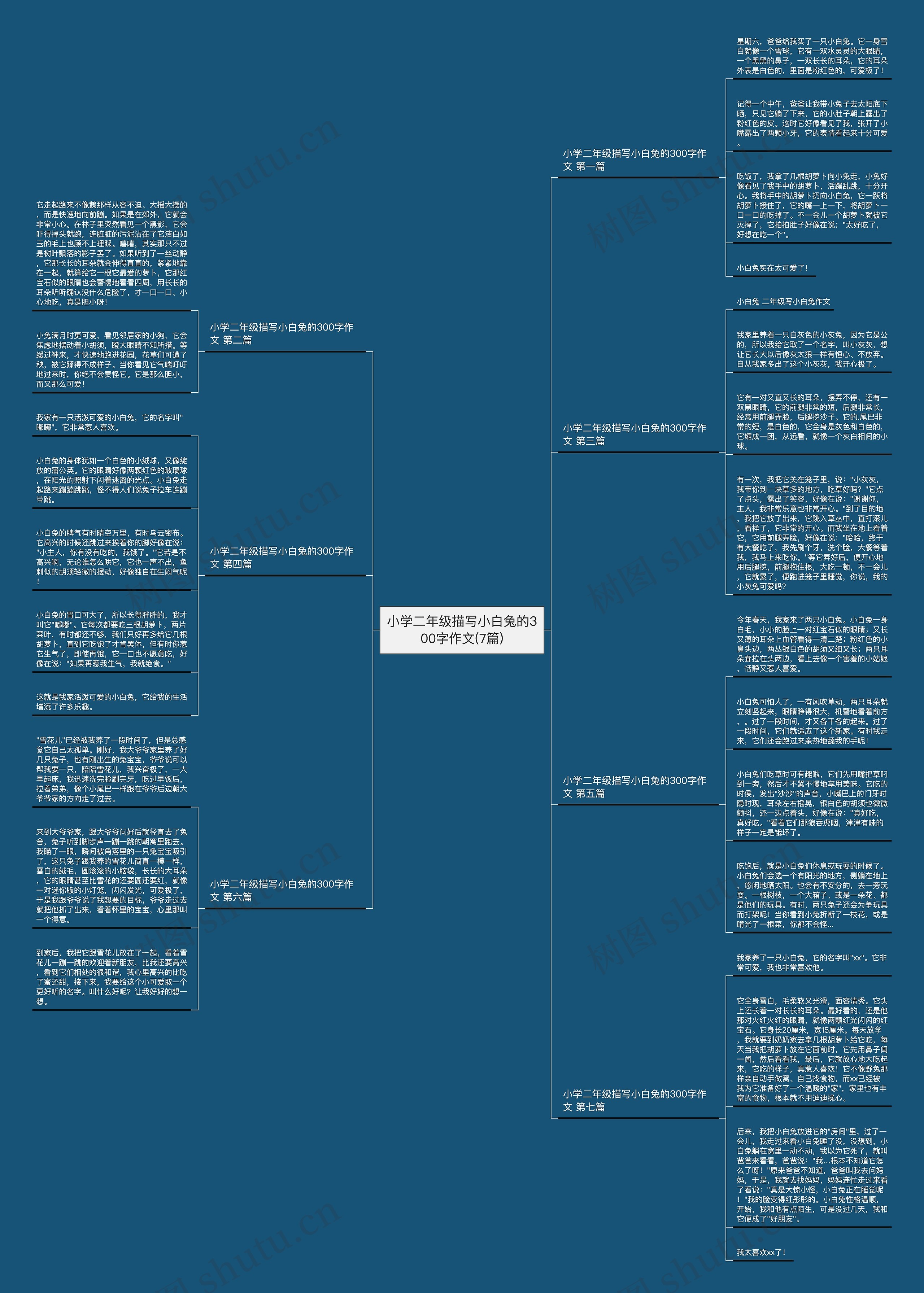 小学二年级描写小白兔的300字作文(7篇) 小学二年级描写小白兔的300字作文(7篇)