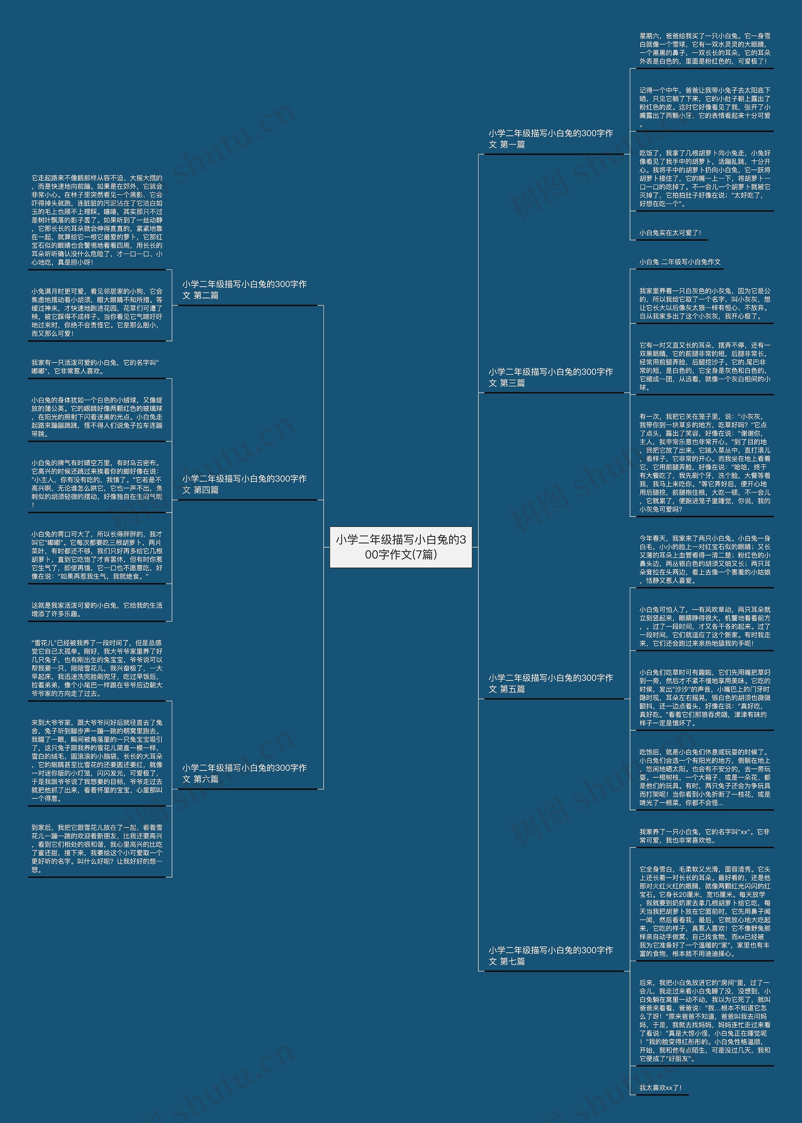 小学二年级描写小白兔的300字作文(7篇)思维导图