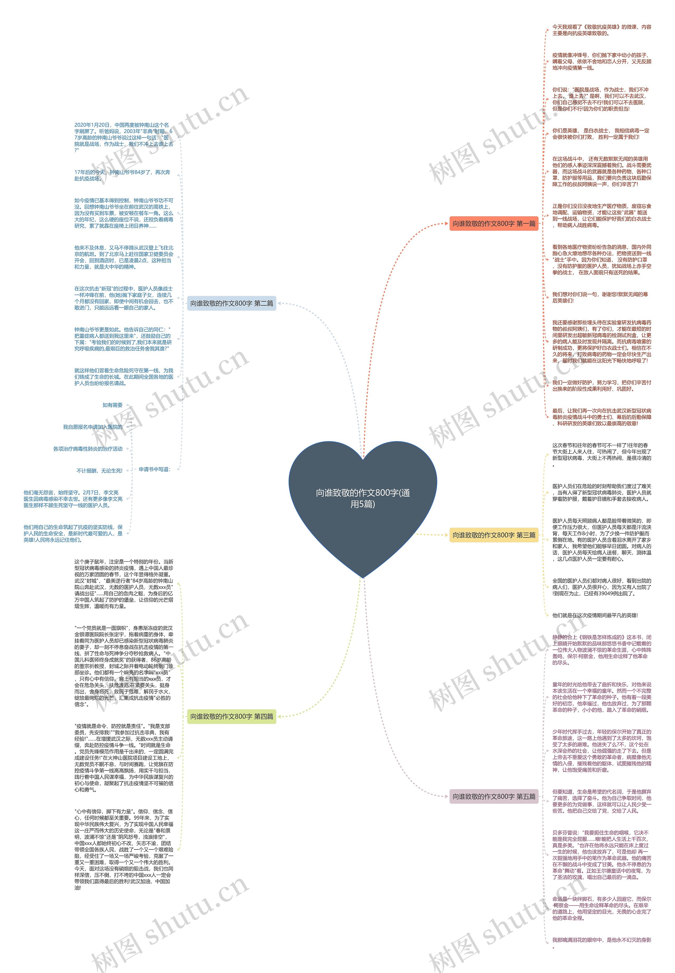 向谁致敬的作文800字(通用5篇)思维导图