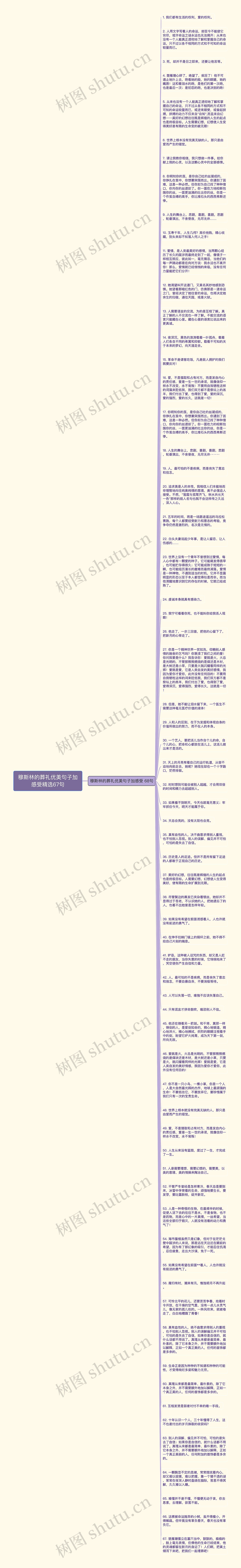 穆斯林的葬礼优美句子加感受精选67句思维导图