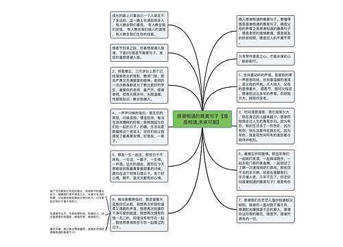 感谢相遇的唯美句子【感恩相遇,未来可期】