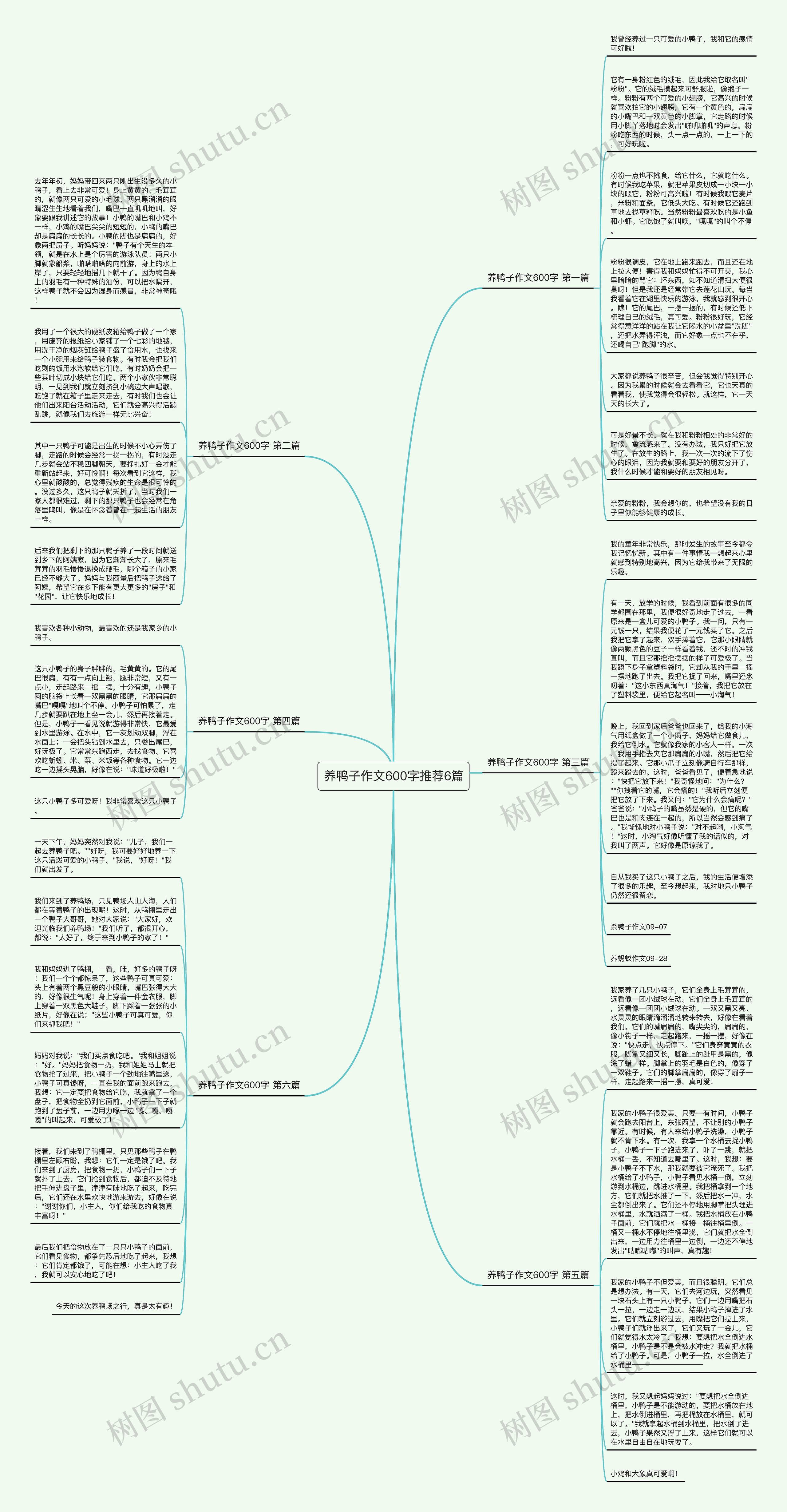 养鸭子作文600字推荐6篇思维导图