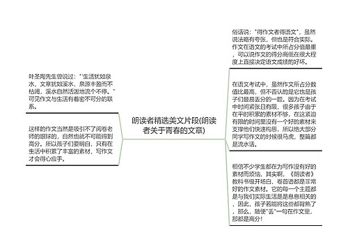 朗读者精选美文片段(朗读者关于青春的文章)