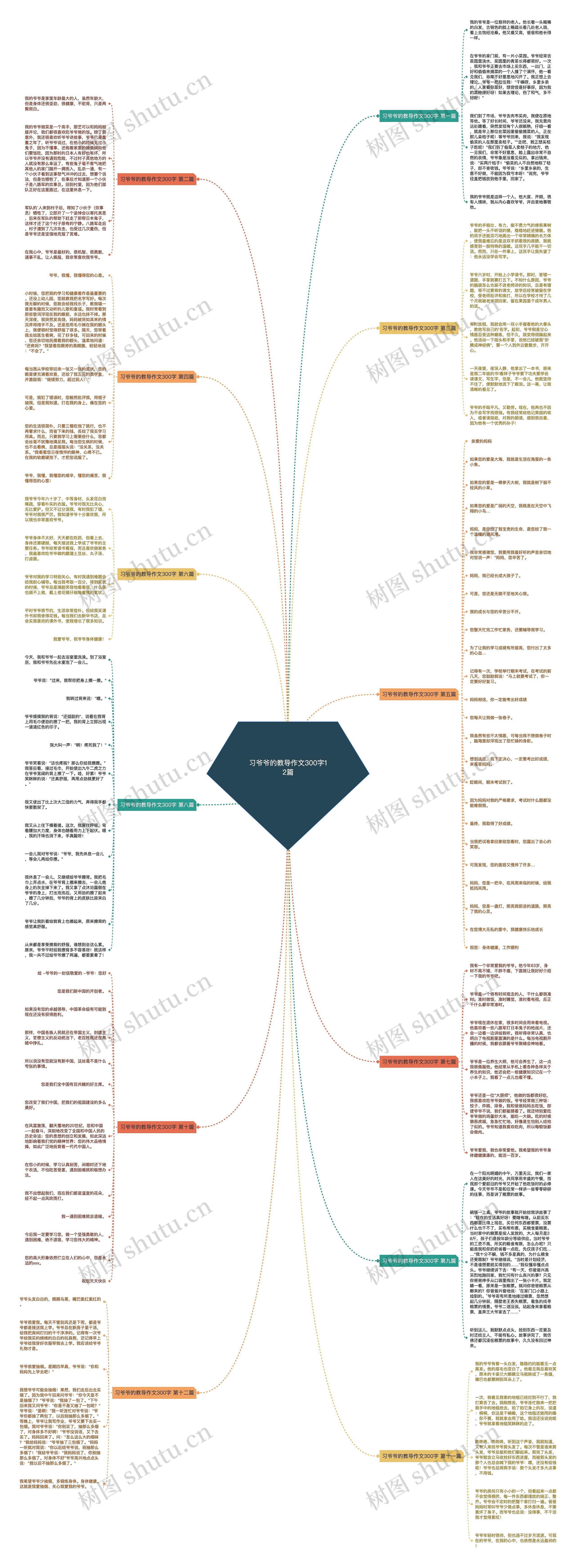 习爷爷的教导作文300字12篇 习爷爷的教导作文300字12篇