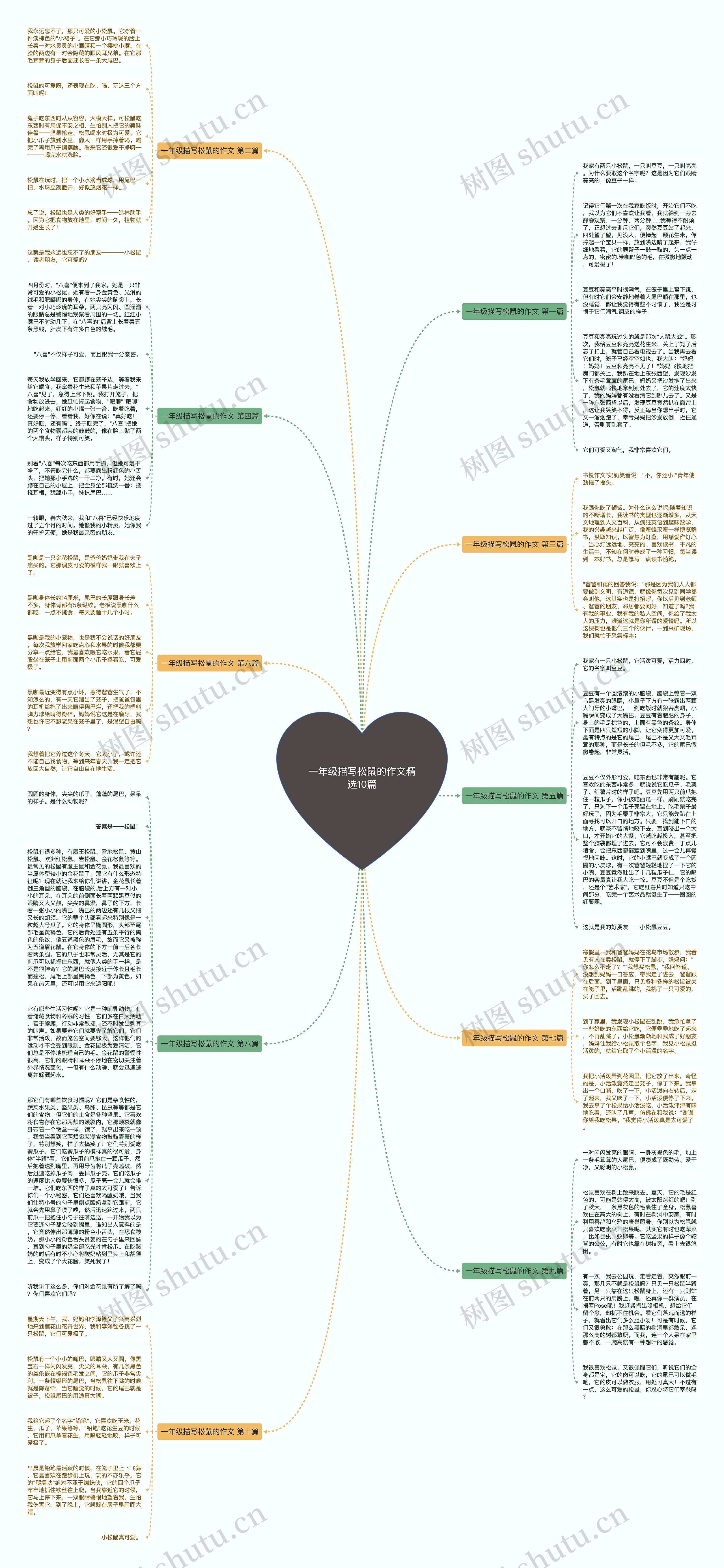 一年级描写松鼠的作文精选10篇思维导图