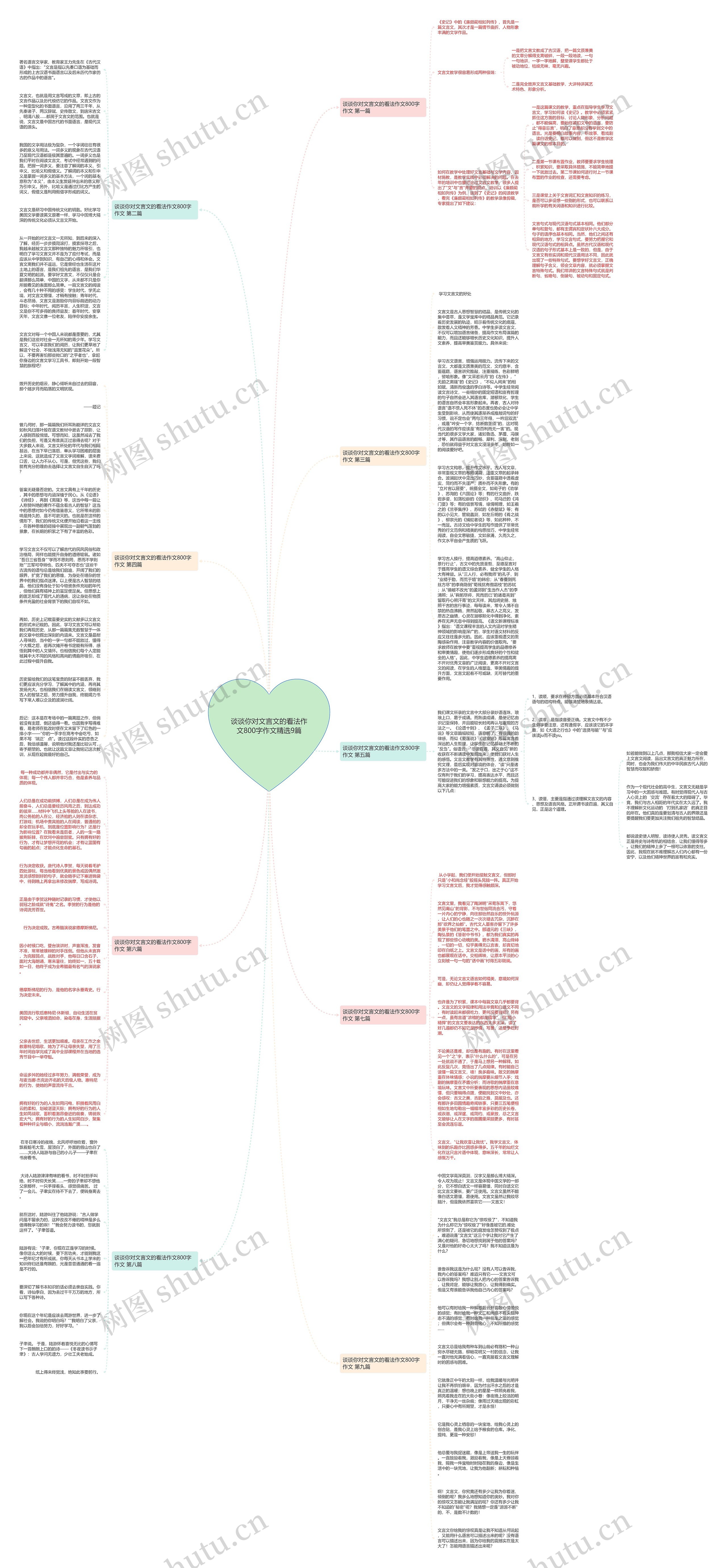 谈谈你对文言文的看法作文800字作文精选9篇思维导图