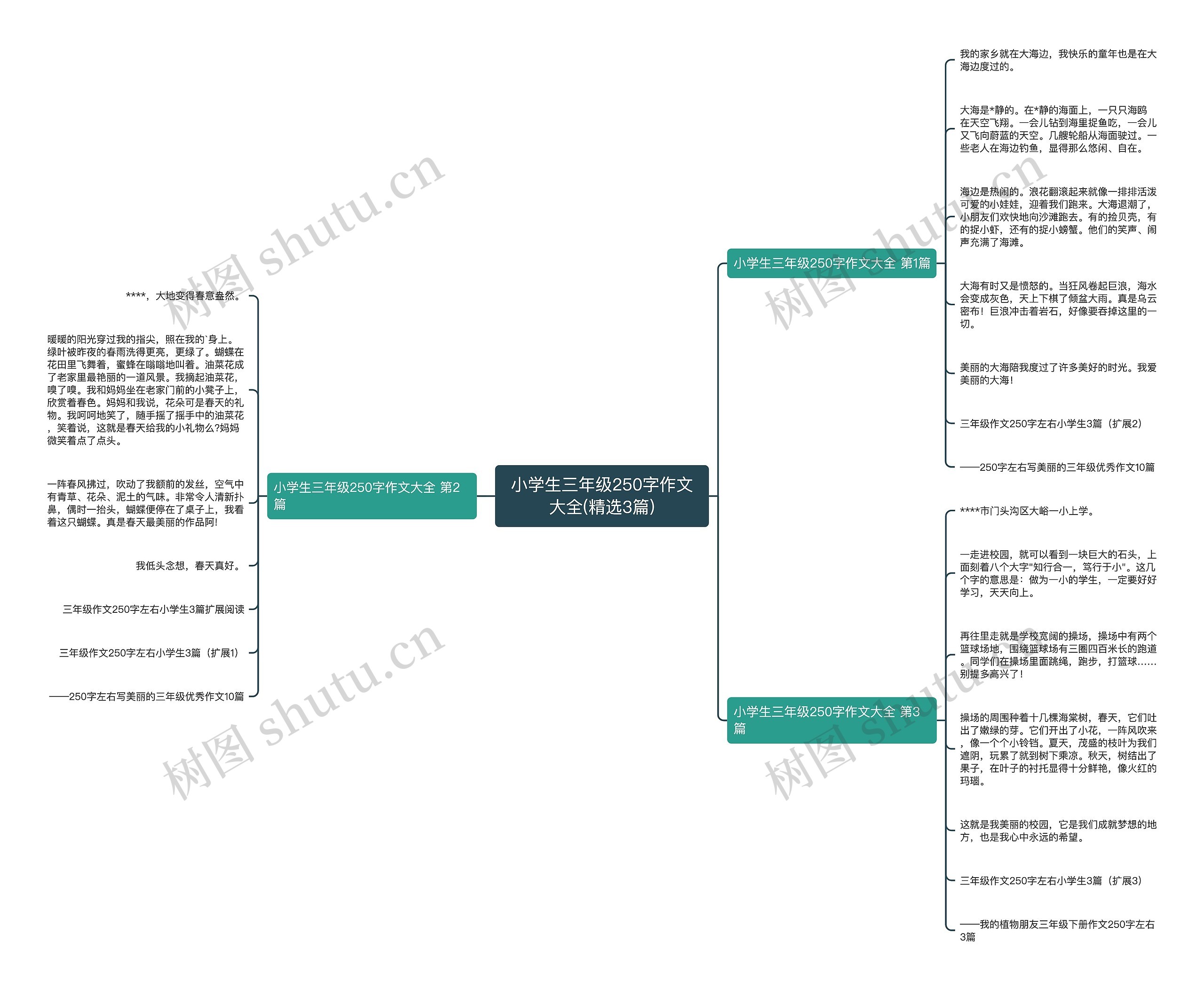 小学生三年级250字作文大全(精选3篇)思维导图