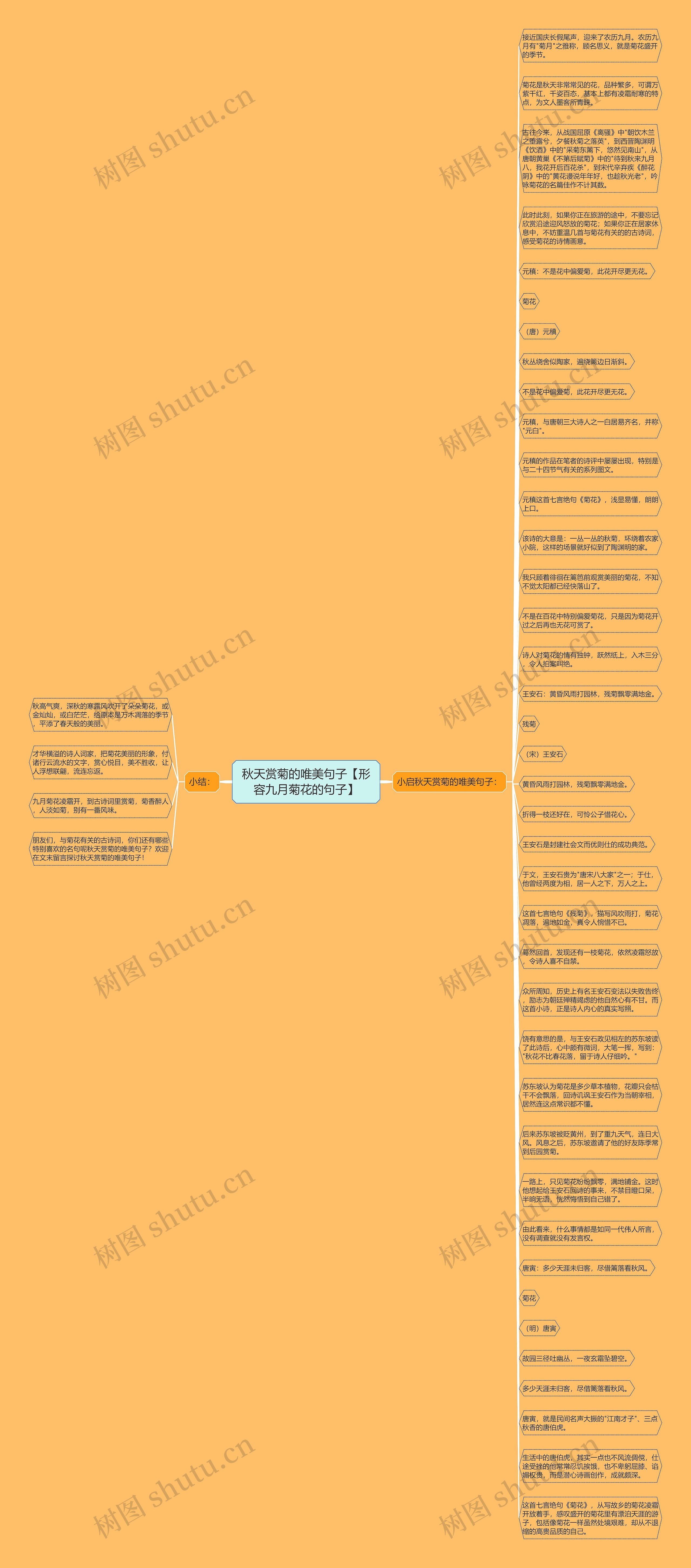 秋天赏菊的唯美句子【形容九月菊花的句子】思维导图