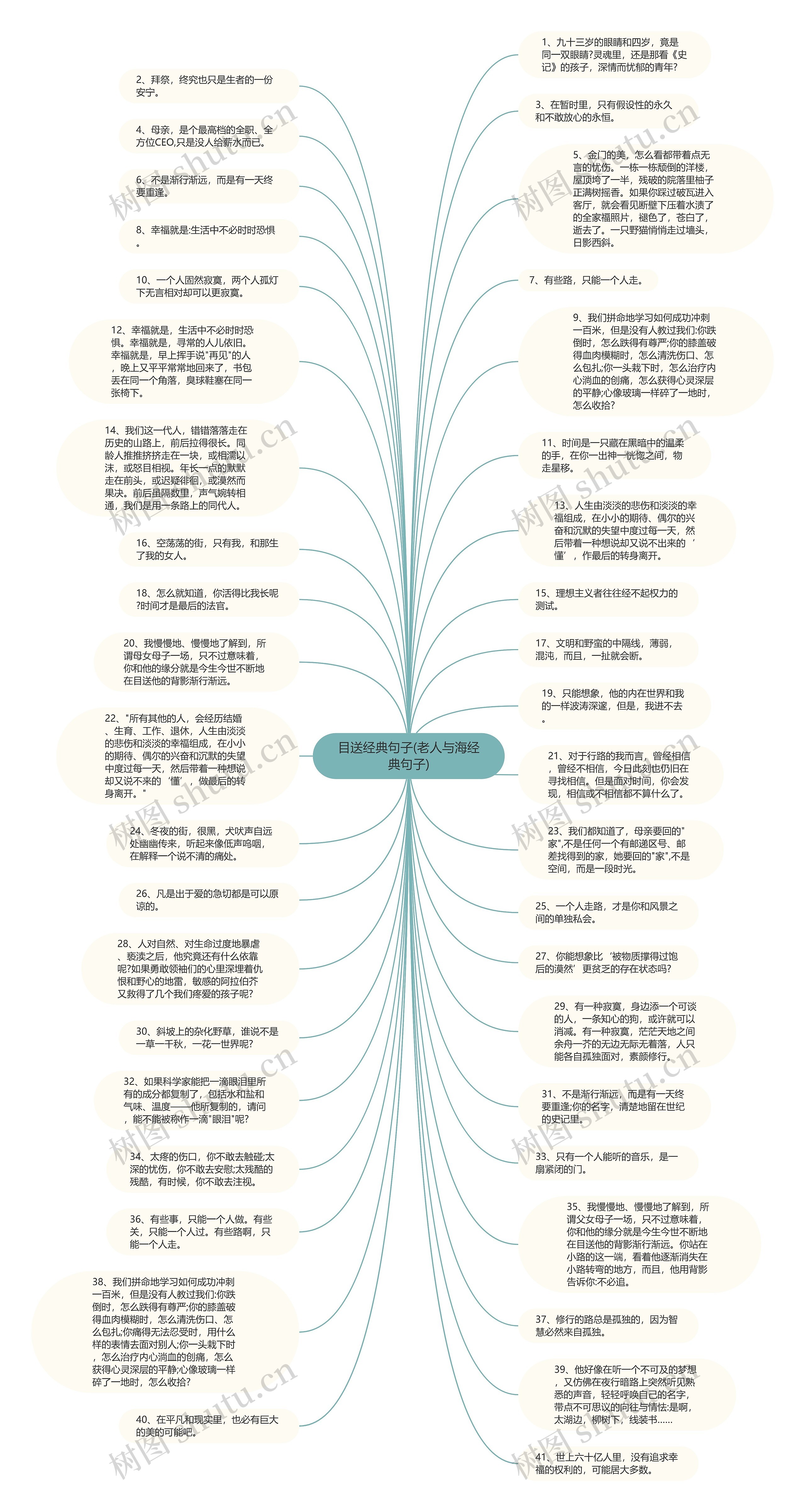 目送经典句子(老人与海经典句子)思维导图
