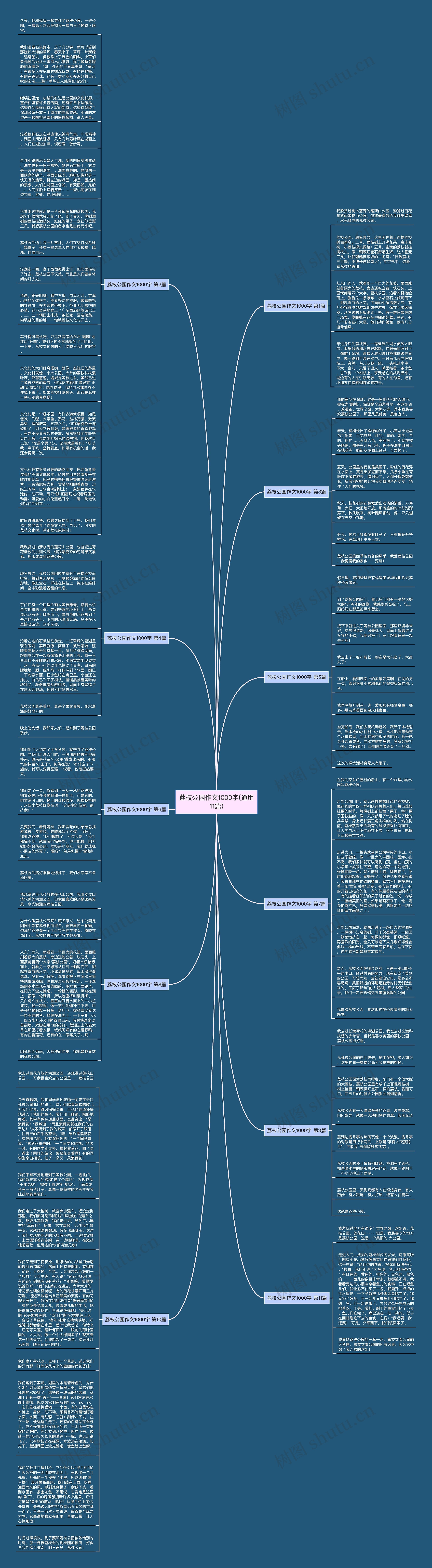 荔枝公园作文1000字(通用11篇)思维导图