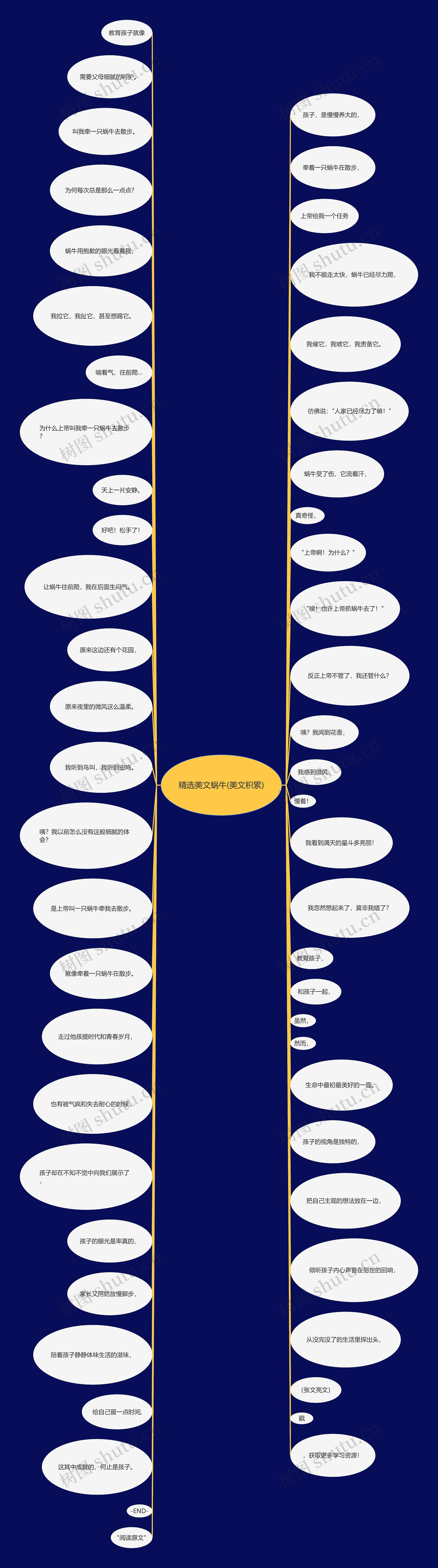 精选美文蜗牛(美文积累) 精选美文蜗牛(美文积累)