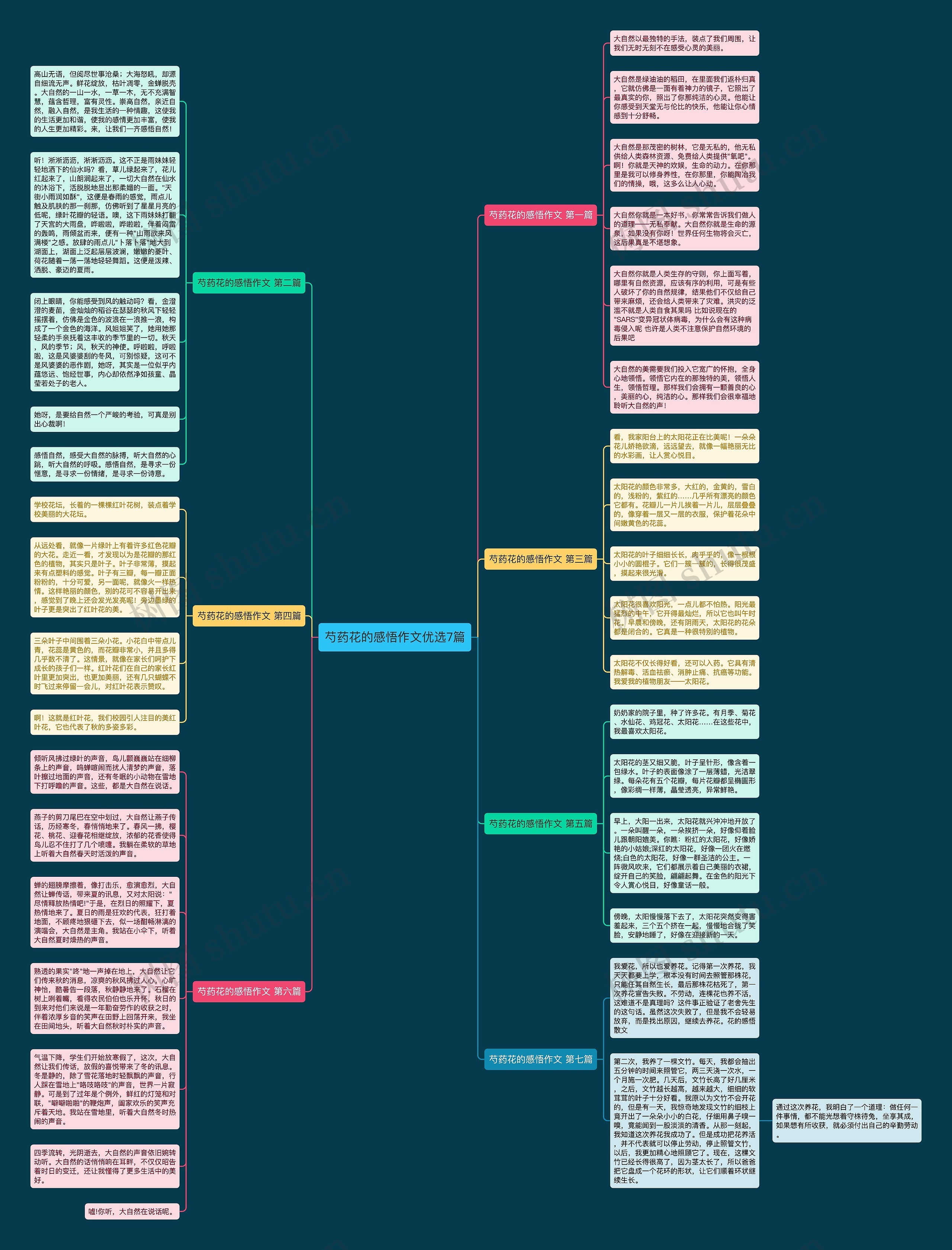 芍药花的感悟作文优选7篇思维导图