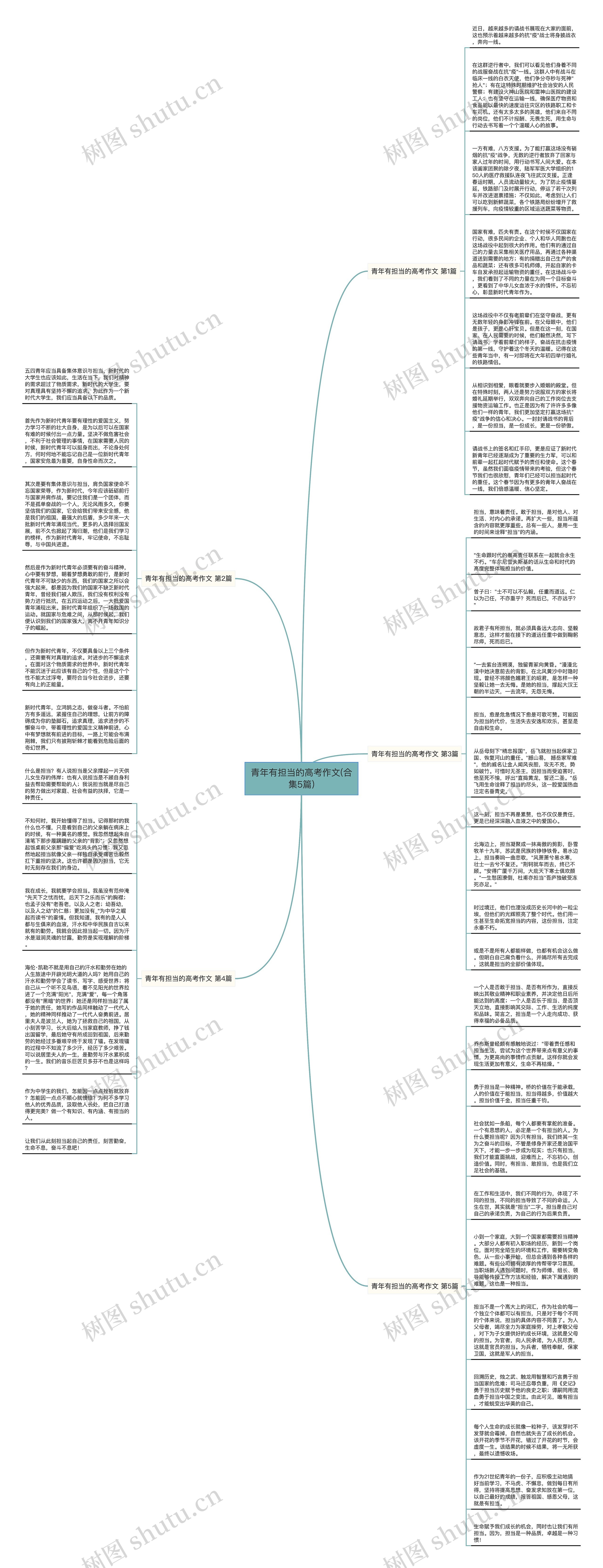 青年有担当的高考作文(合集5篇)思维导图