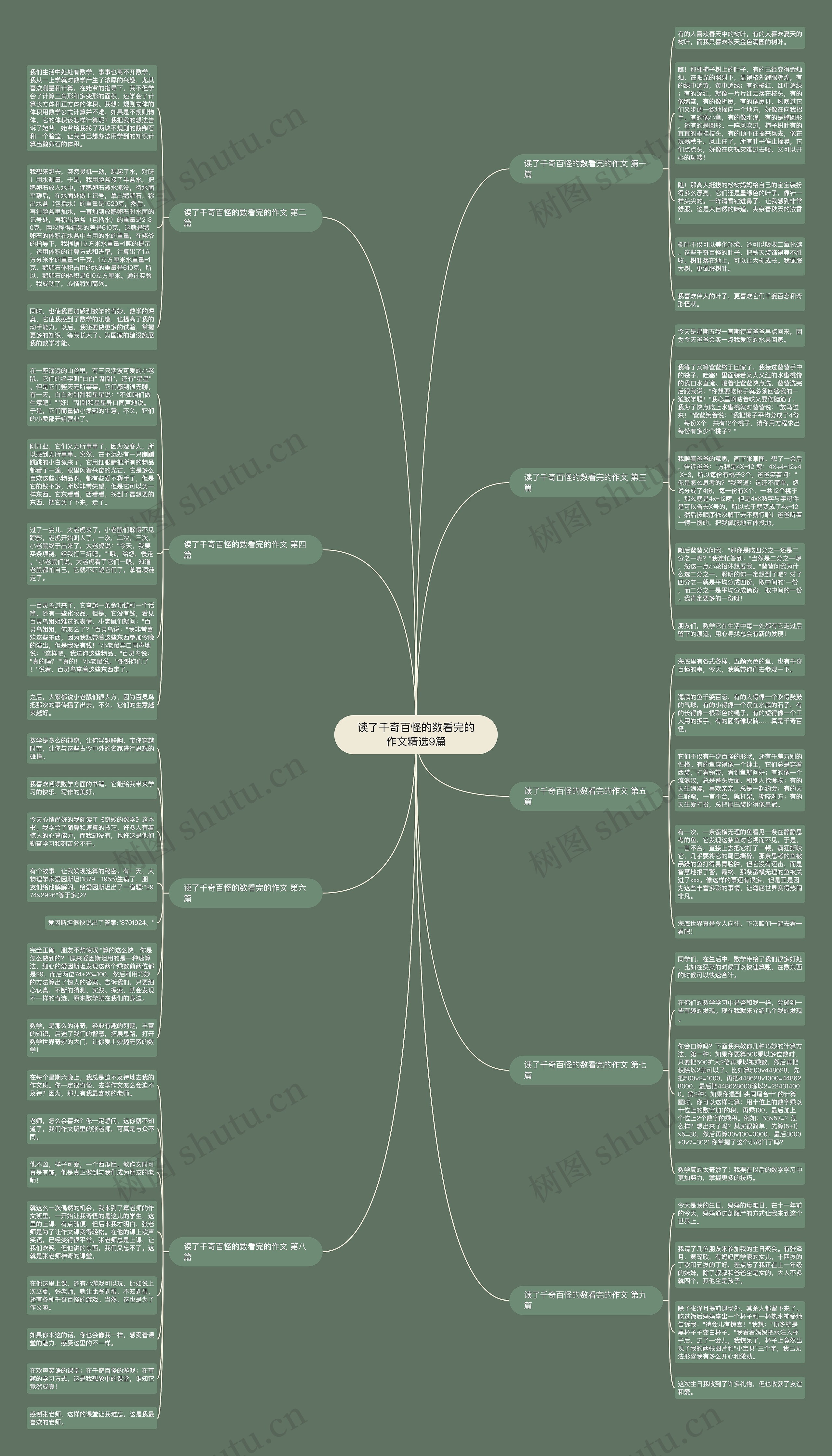 读了千奇百怪的数看完的作文精选9篇思维导图