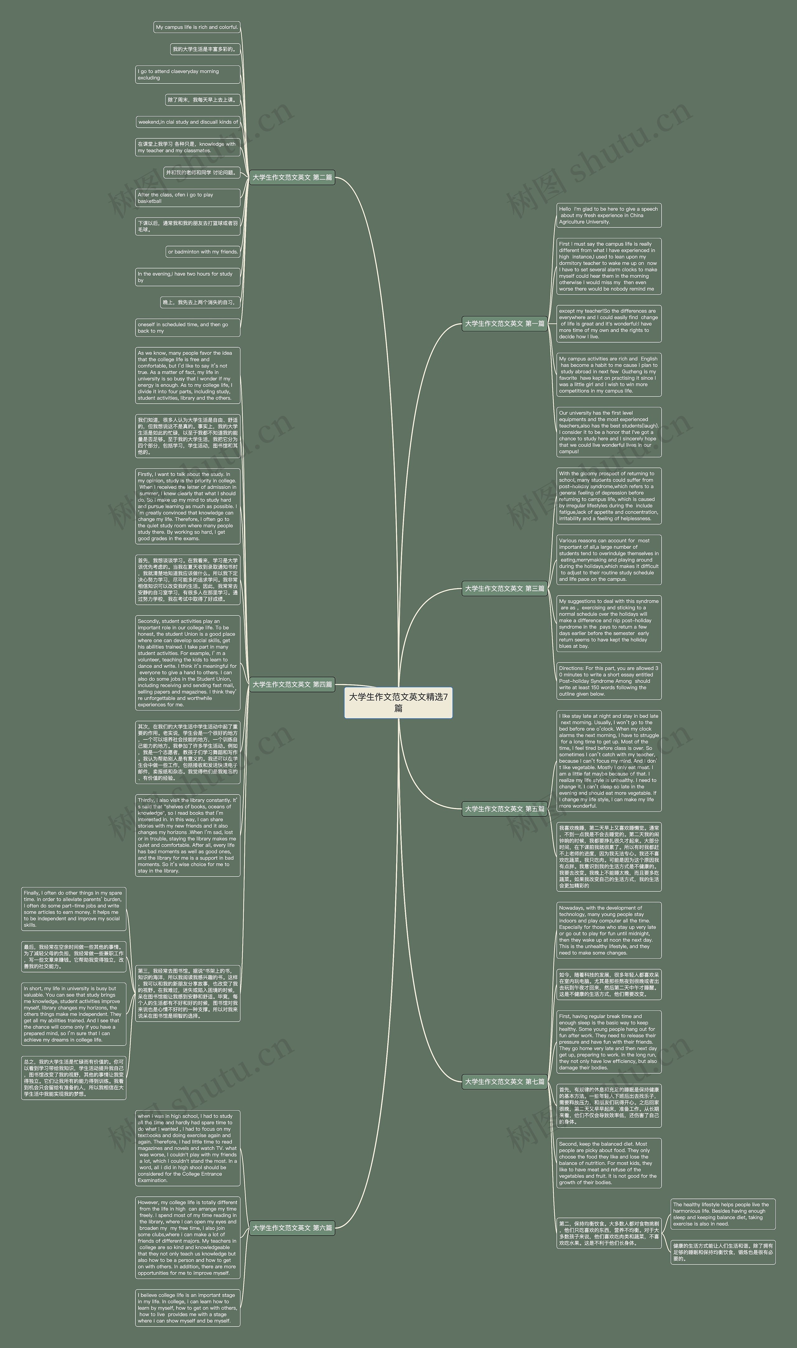 大学生作文范文英文精选7篇思维导图
