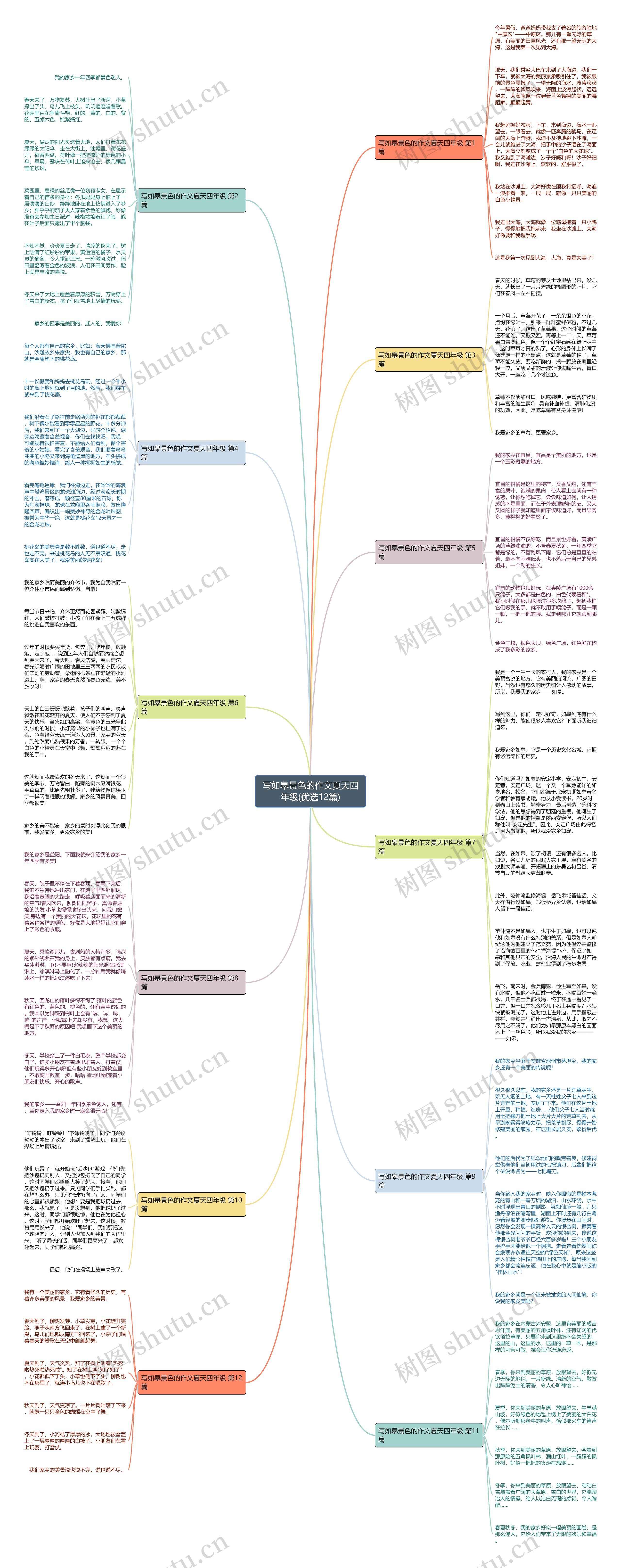写如皋景色的作文夏天四年级(优选12篇)思维导图