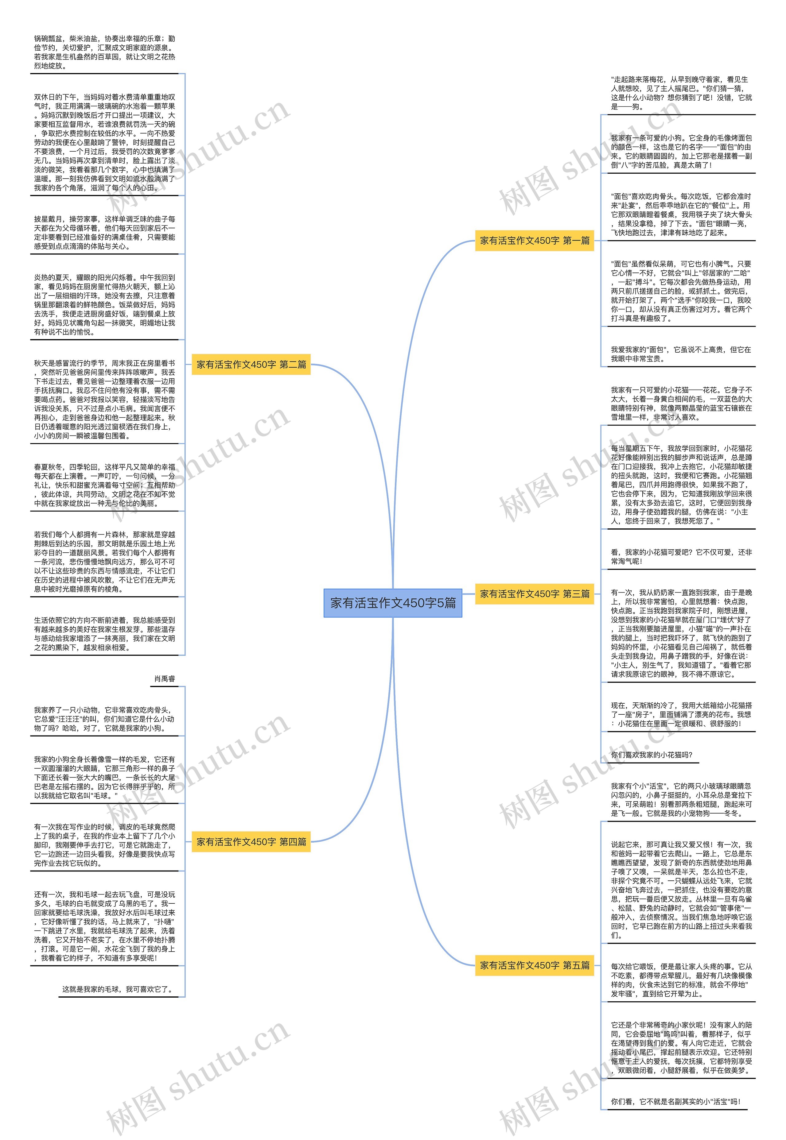 家有活宝作文450字5篇思维导图