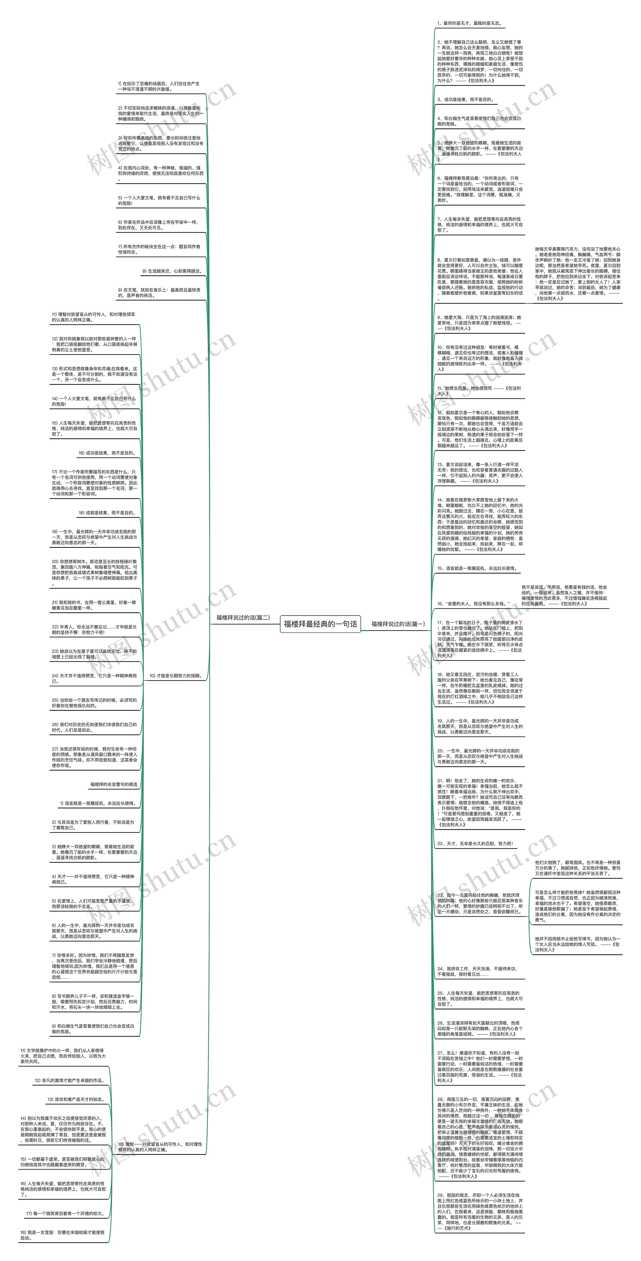 福楼拜最经典的一句话思维导图