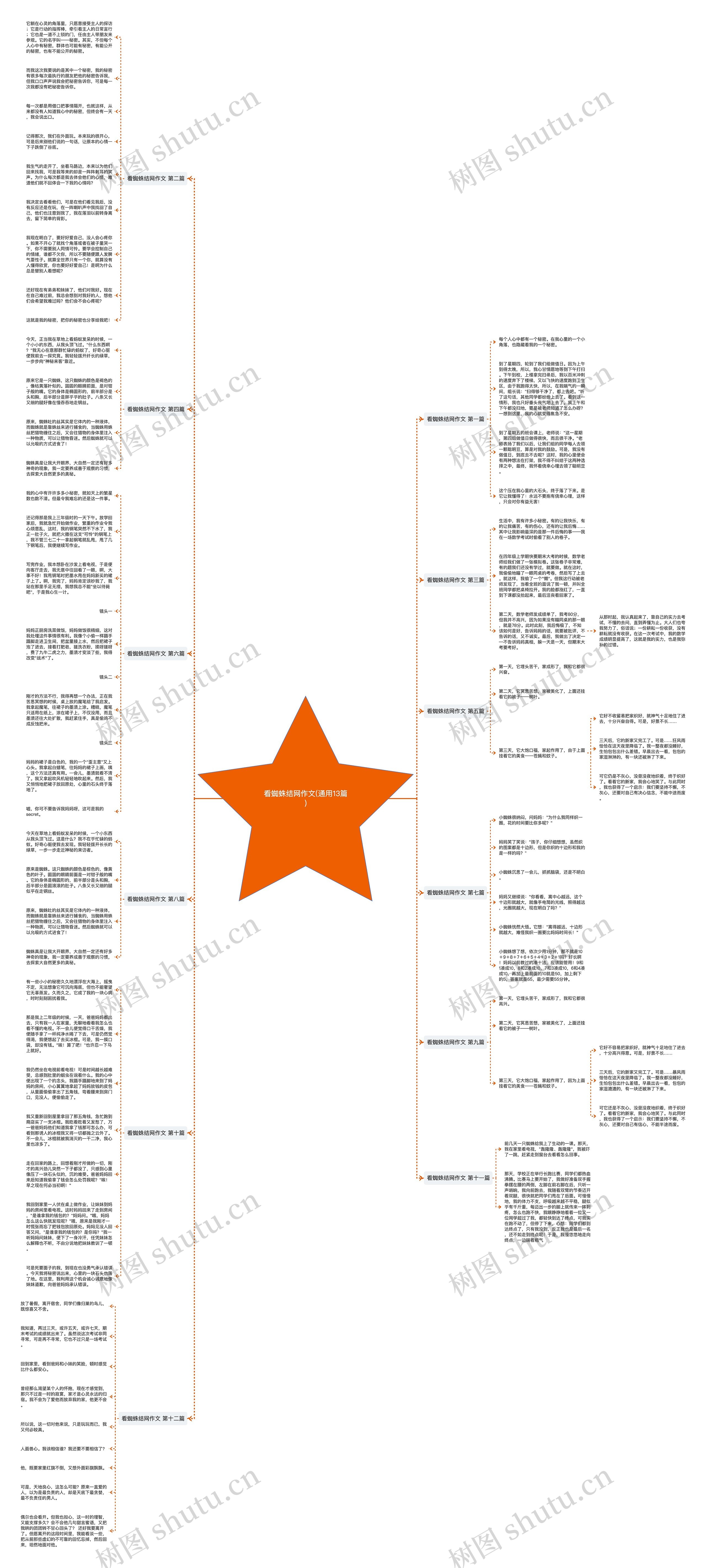 看蜘蛛结网作文(通用13篇)思维导图