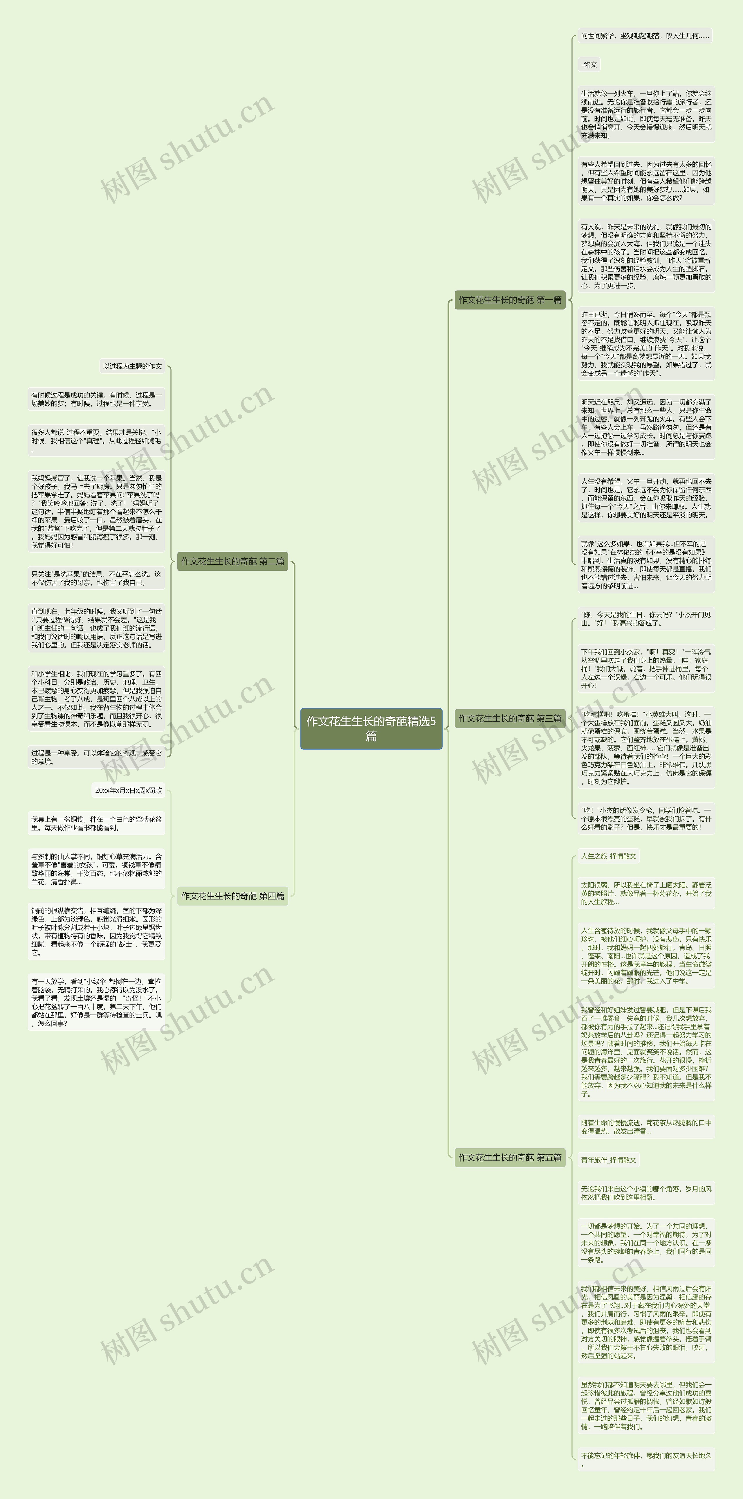 作文花生生长的奇葩精选5篇思维导图