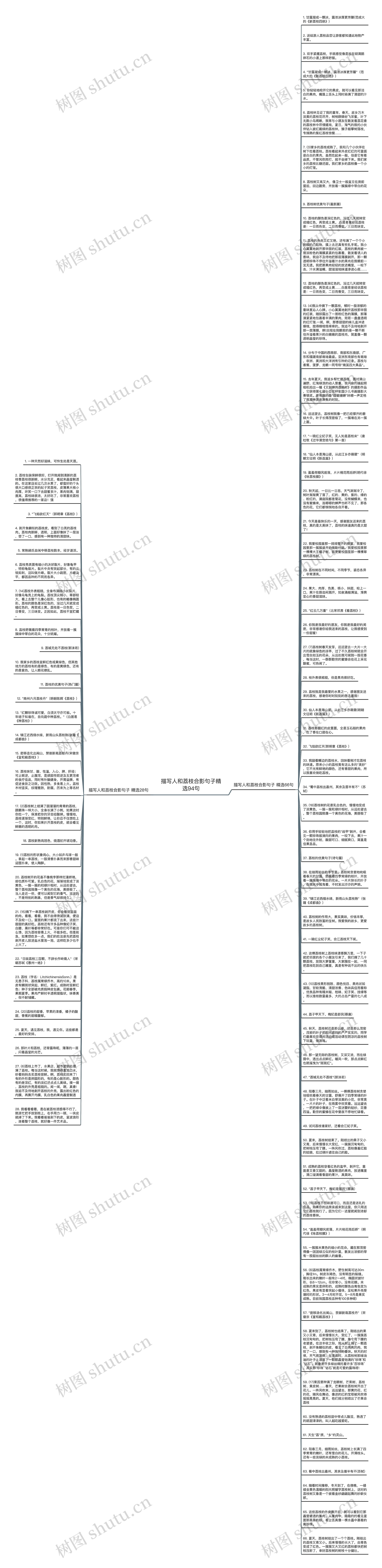 描写人和荔枝合影句子精选94句思维导图