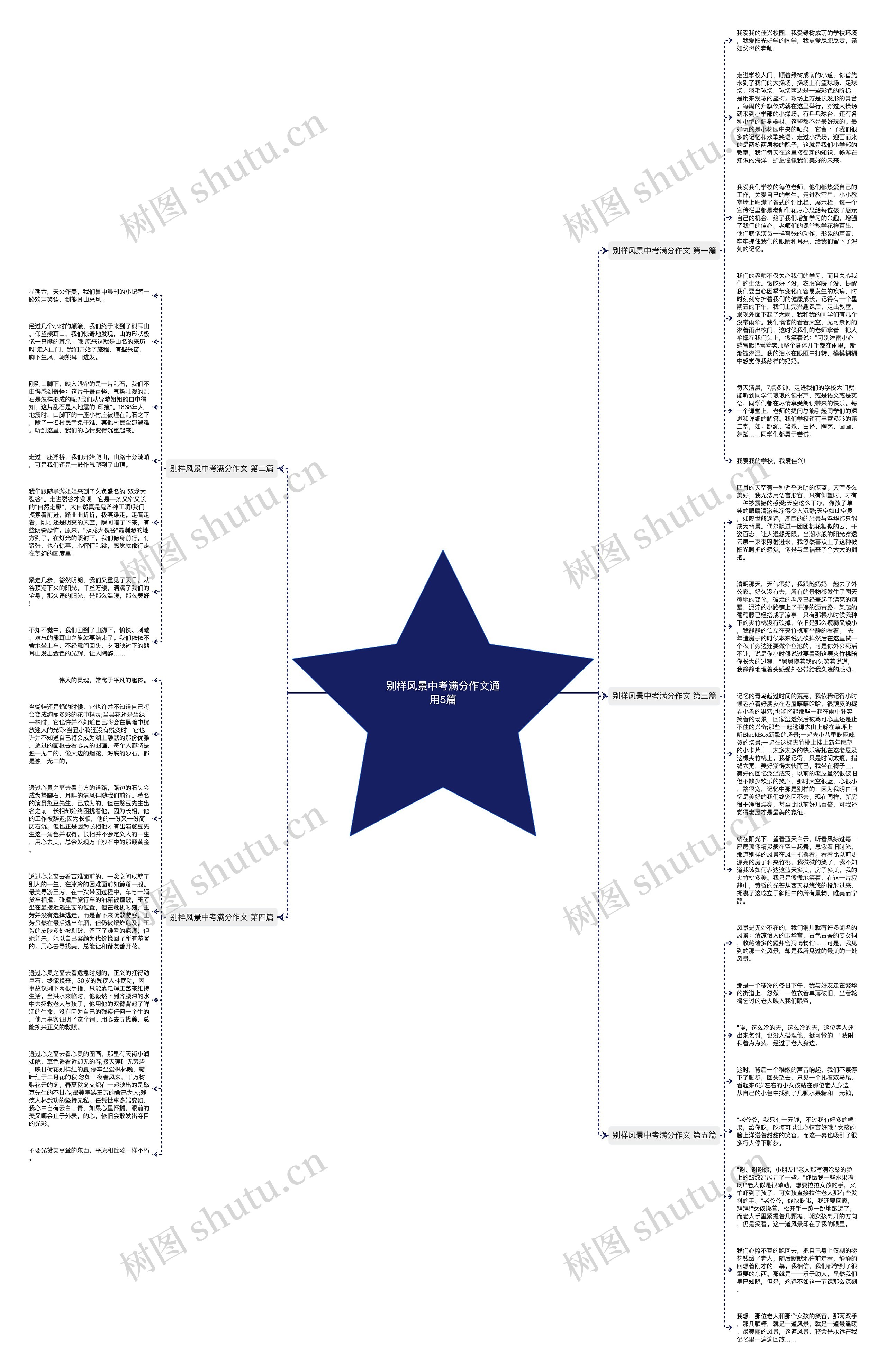别样风景中考满分作文通用5篇思维导图