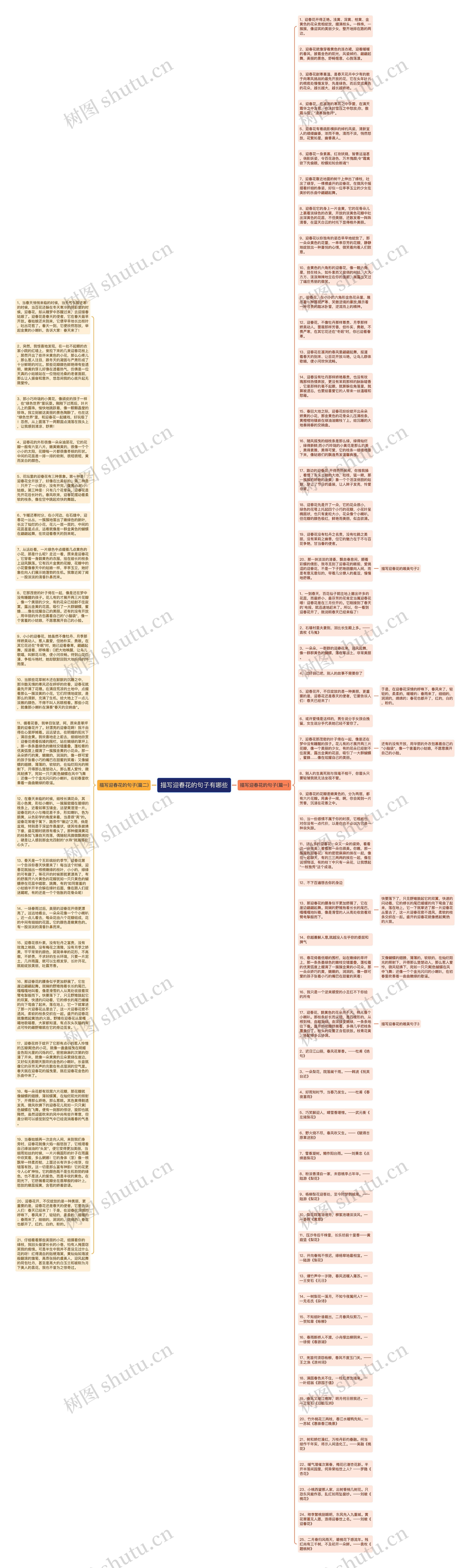 描写迎春花的句子有哪些思维导图高清图 描写迎春花的句子有哪些思维导图