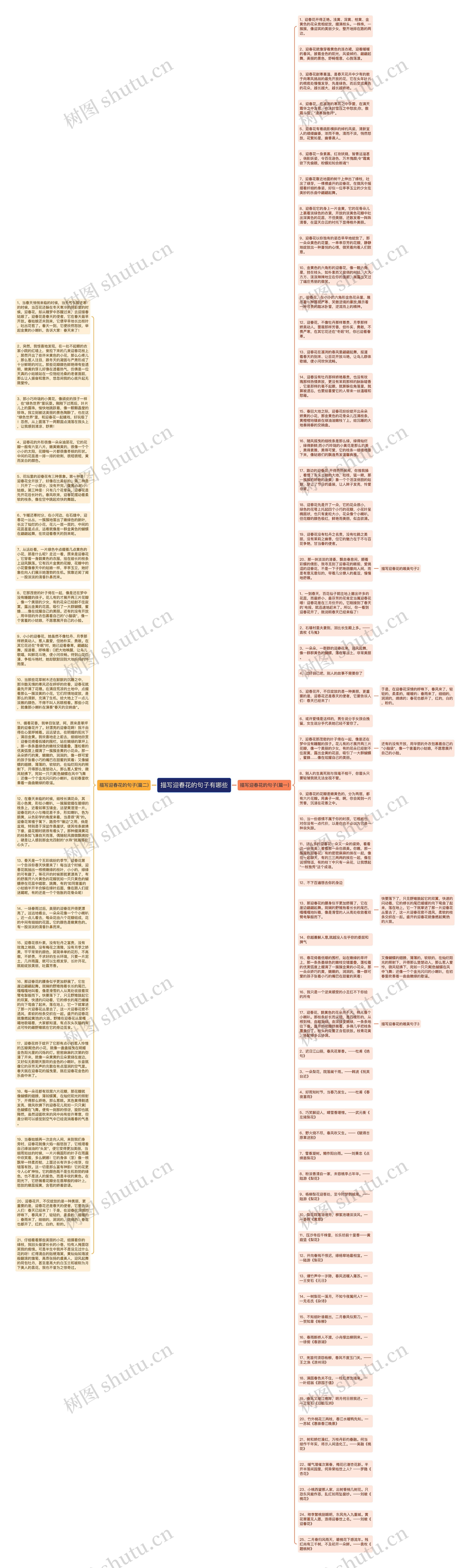 描写迎春花的句子有哪些思维导图
