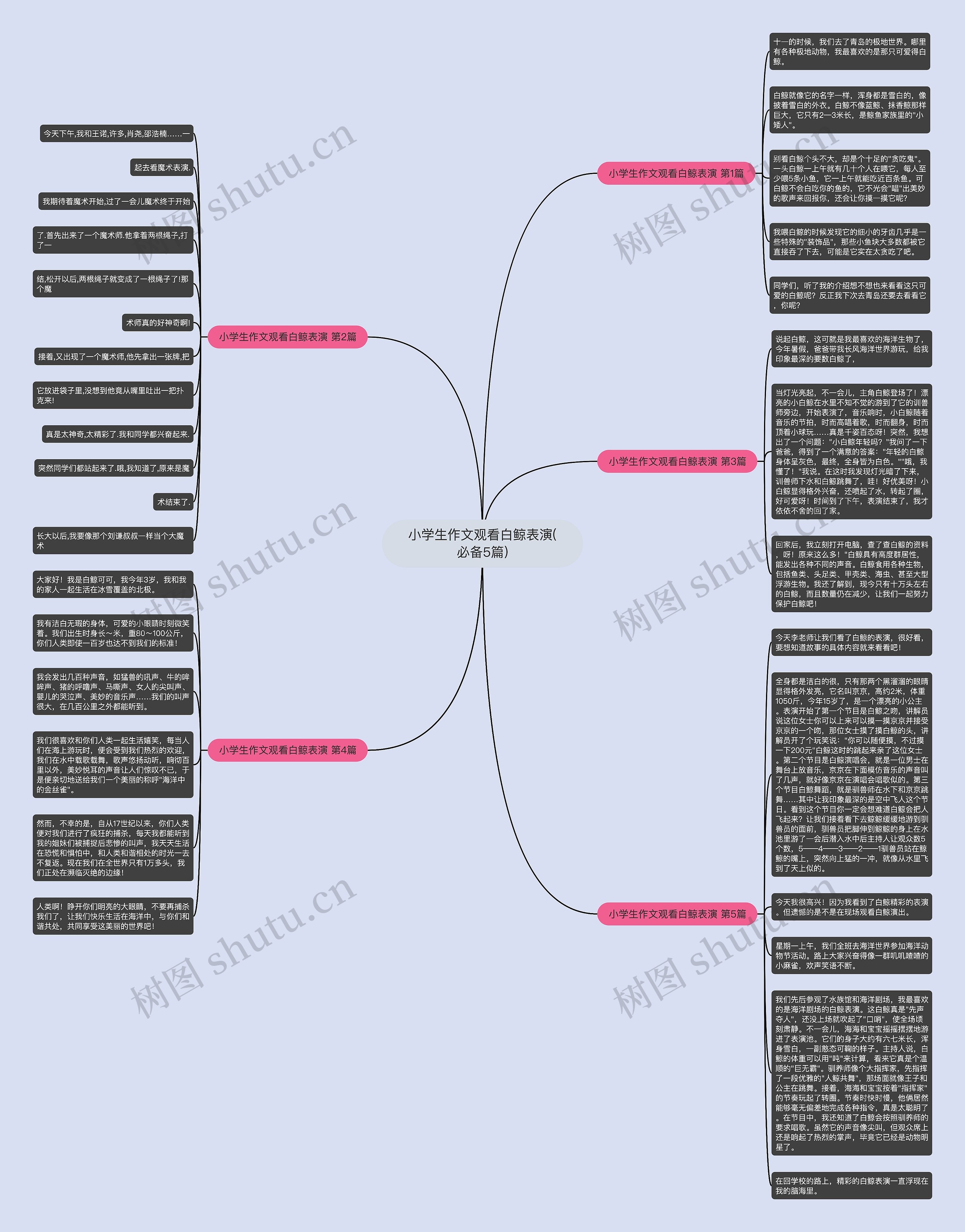小学生作文观看白鲸表演(必备5篇)思维导图