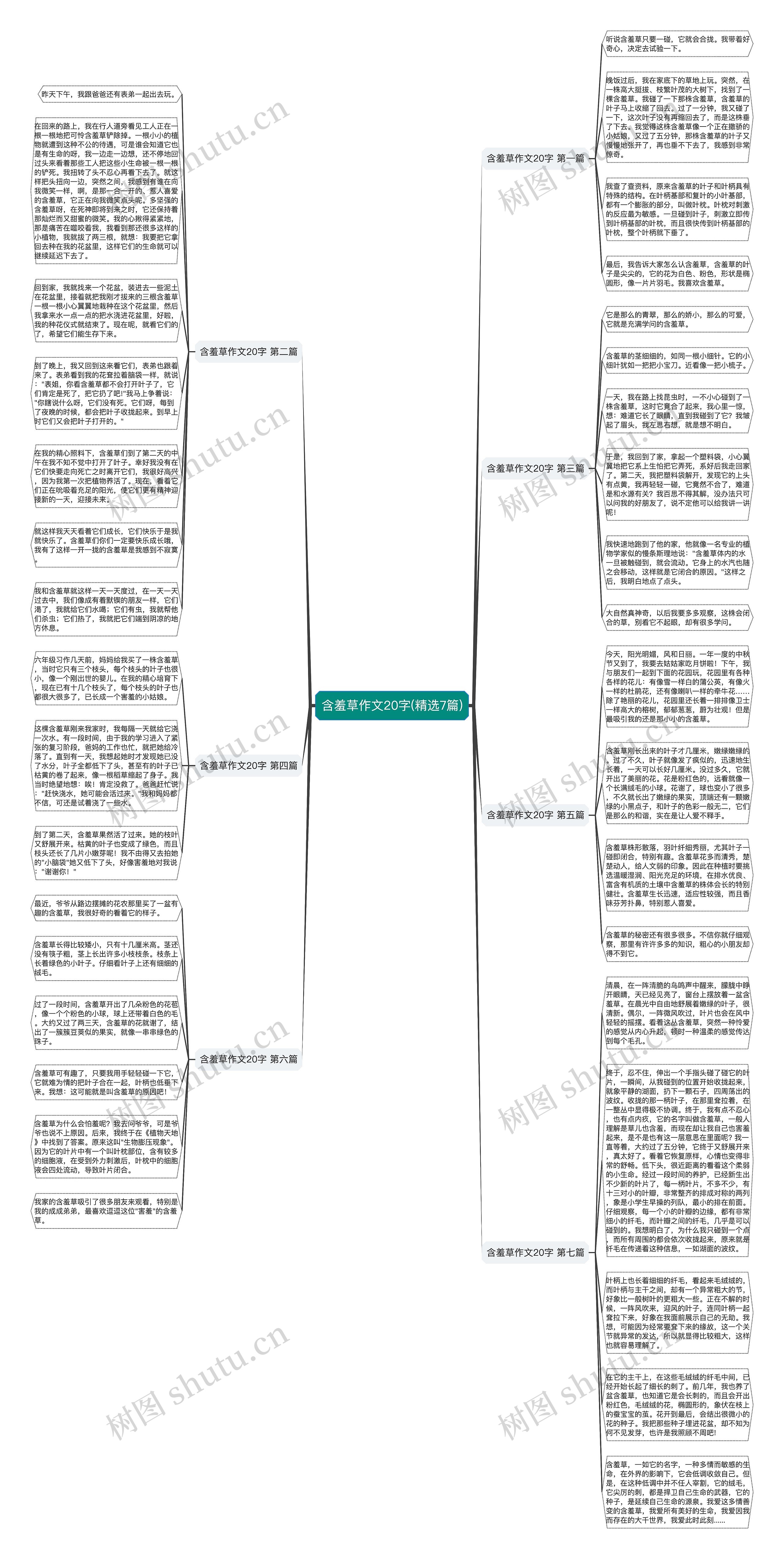 含羞草作文20字(精选7篇)思维导图