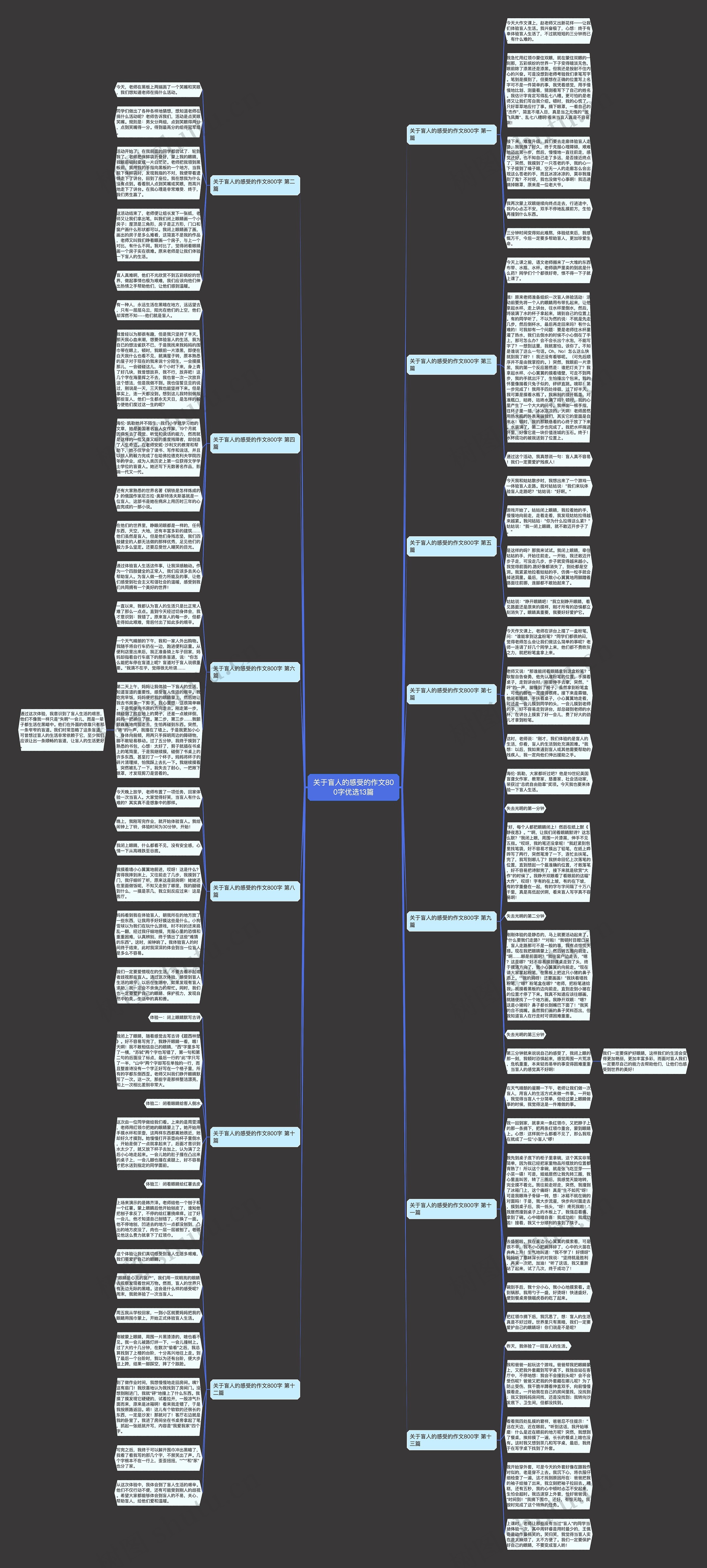 关于盲人的感受的作文800字优选13篇思维导图