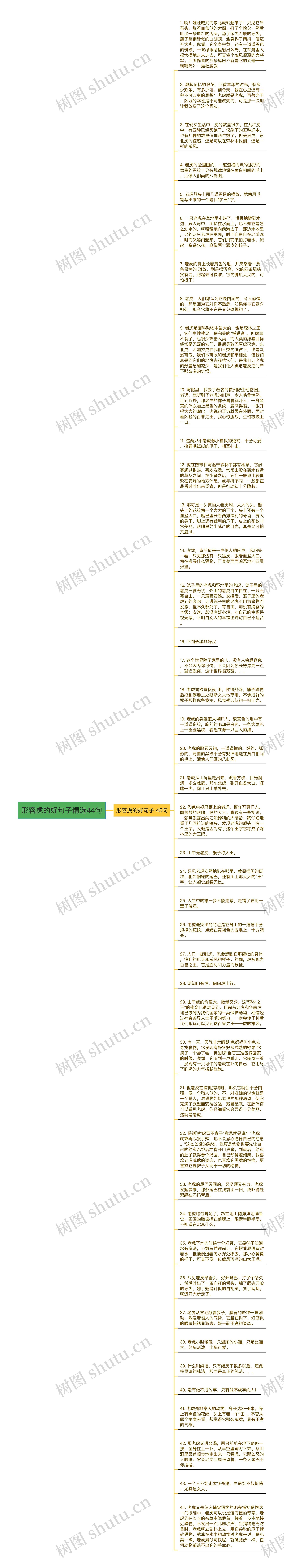 形容虎的好句子精选44句