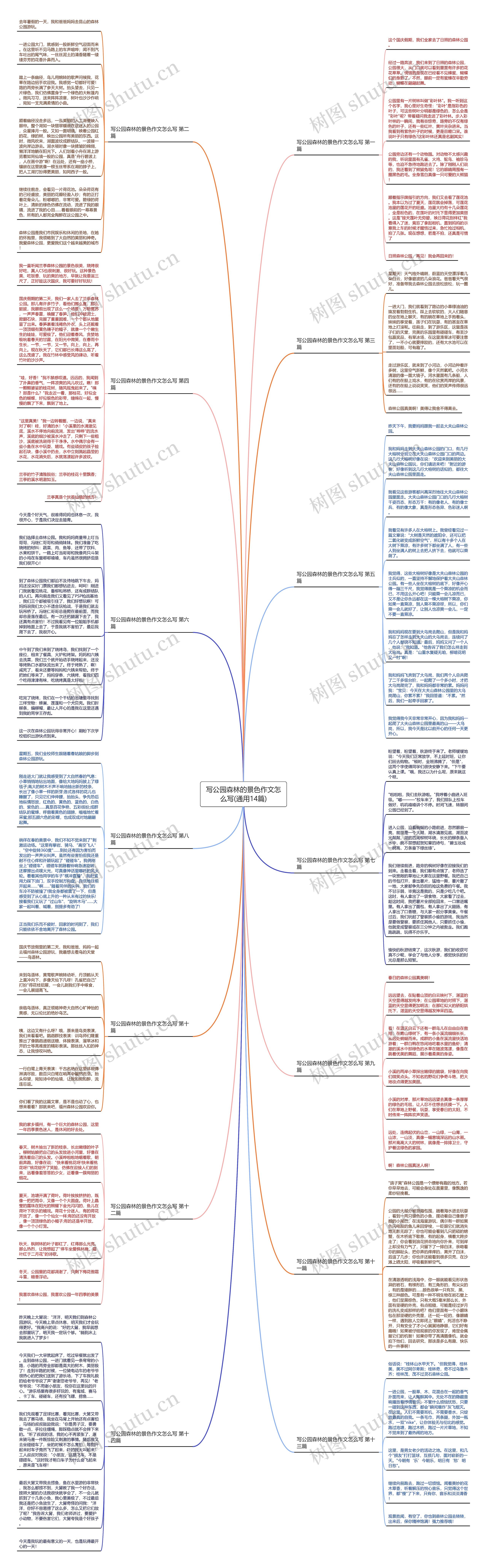 写公园森林的景色作文怎么写(通用14篇)思维导图