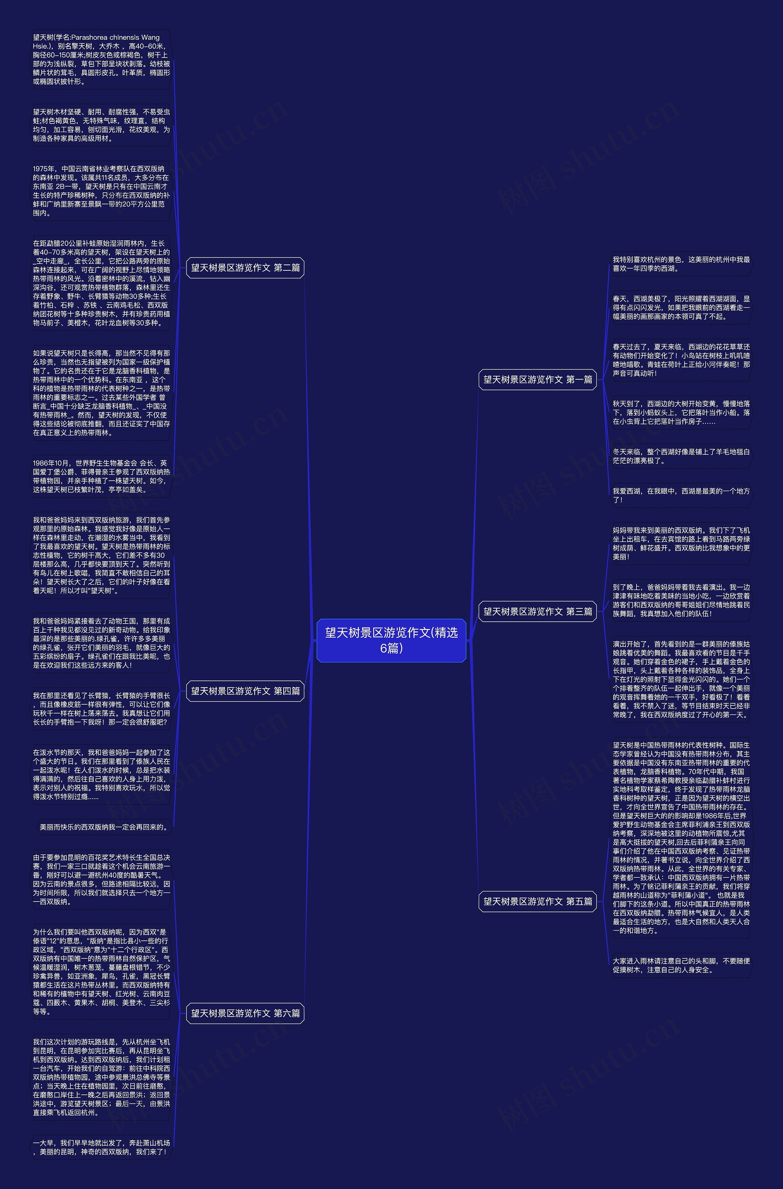 望天树景区游览作文(精选6篇)思维导图
