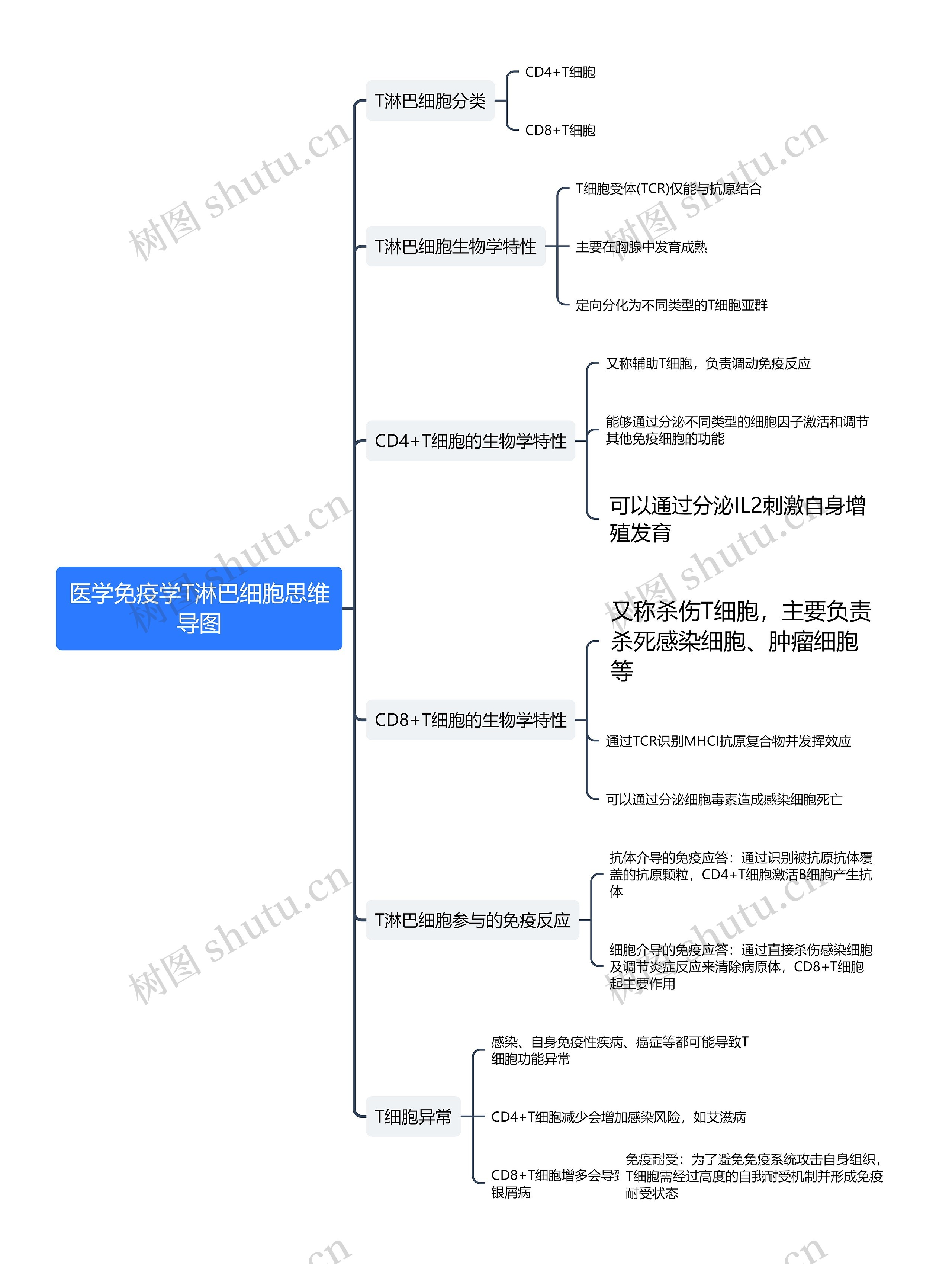 医学免疫学T淋巴细胞思维导图