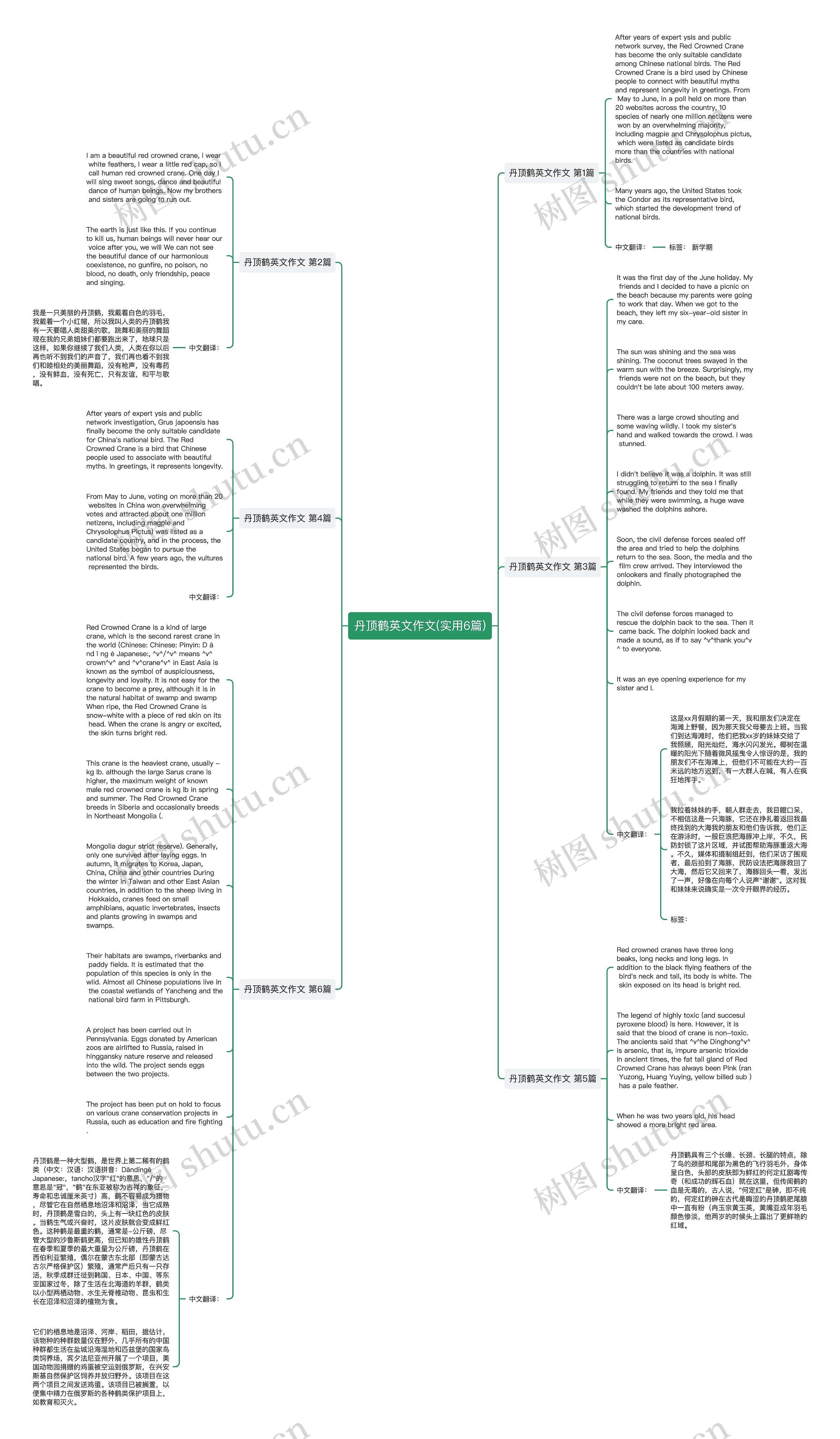 丹顶鹤英文作文(实用6篇)思维导图