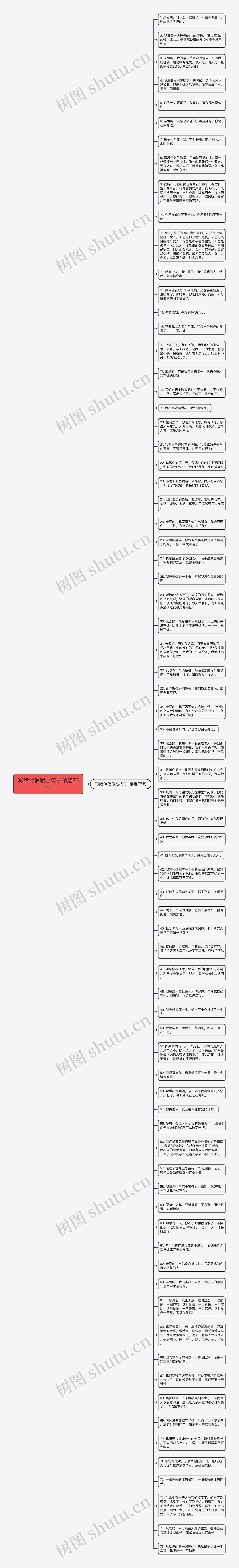 写给伴侣暖心句子精选75句思维导图