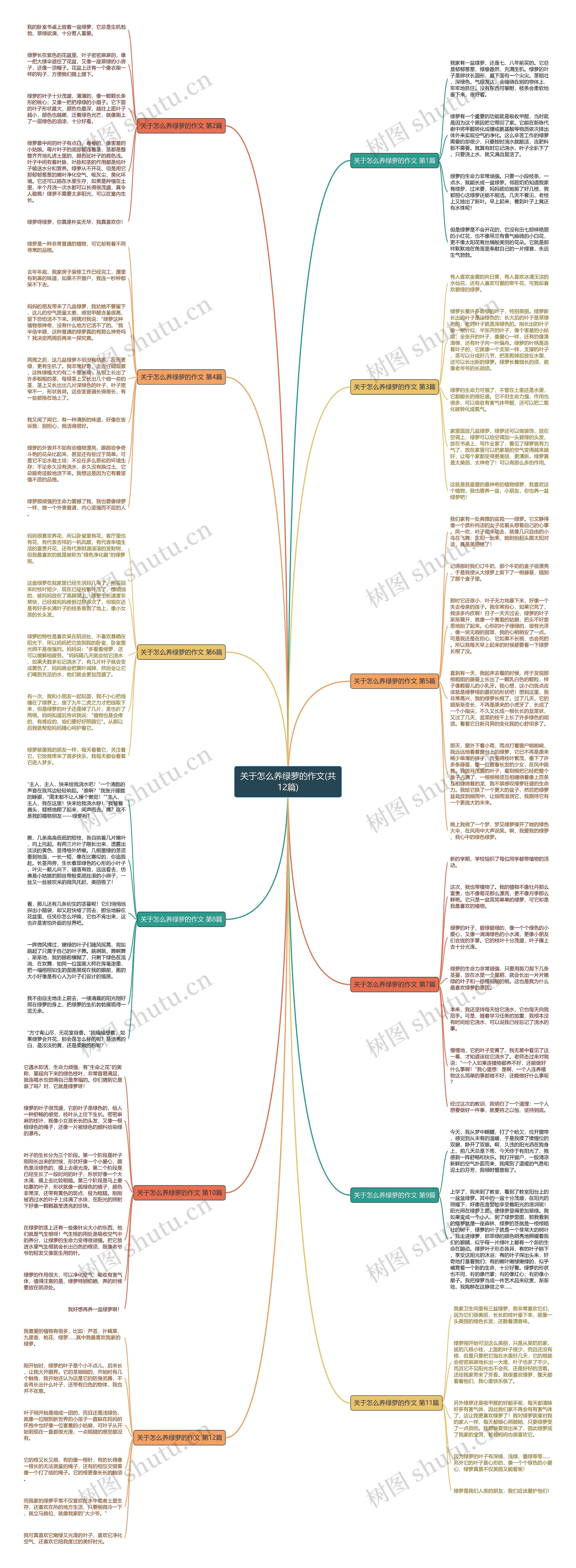 关于怎么养绿萝的作文(共12篇)思维导图