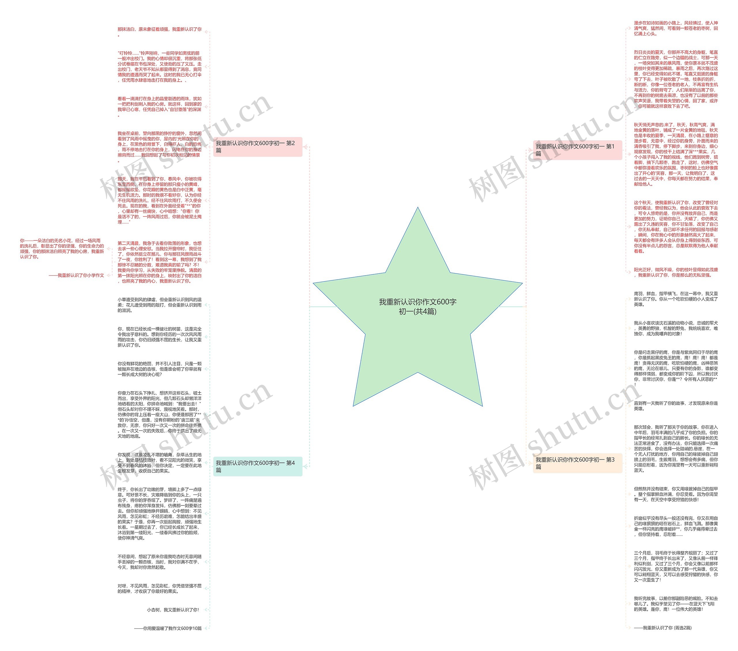 我重新认识你作文600字初一(共4篇)思维导图