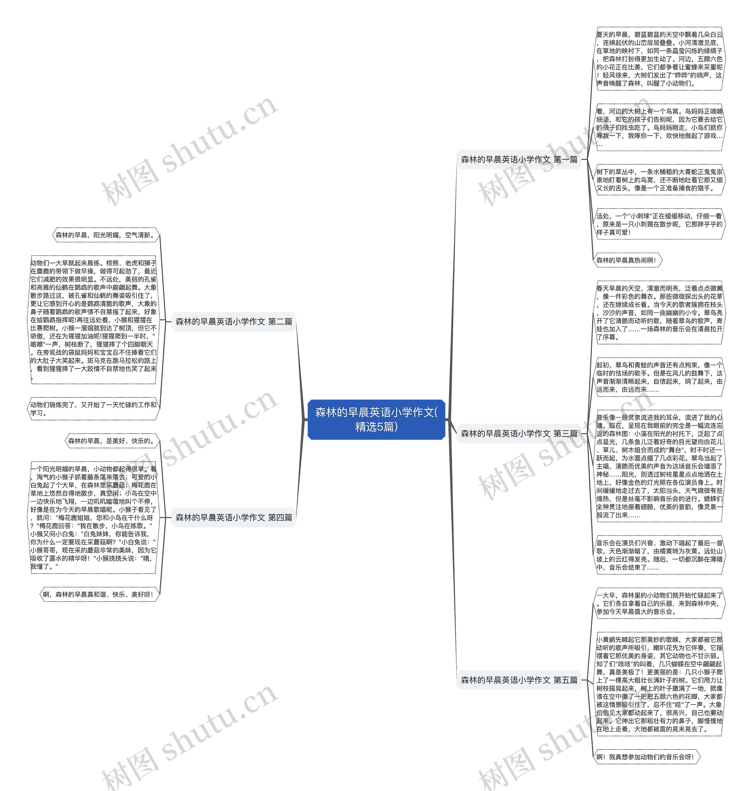森林的早晨英语小学作文(精选5篇)思维导图