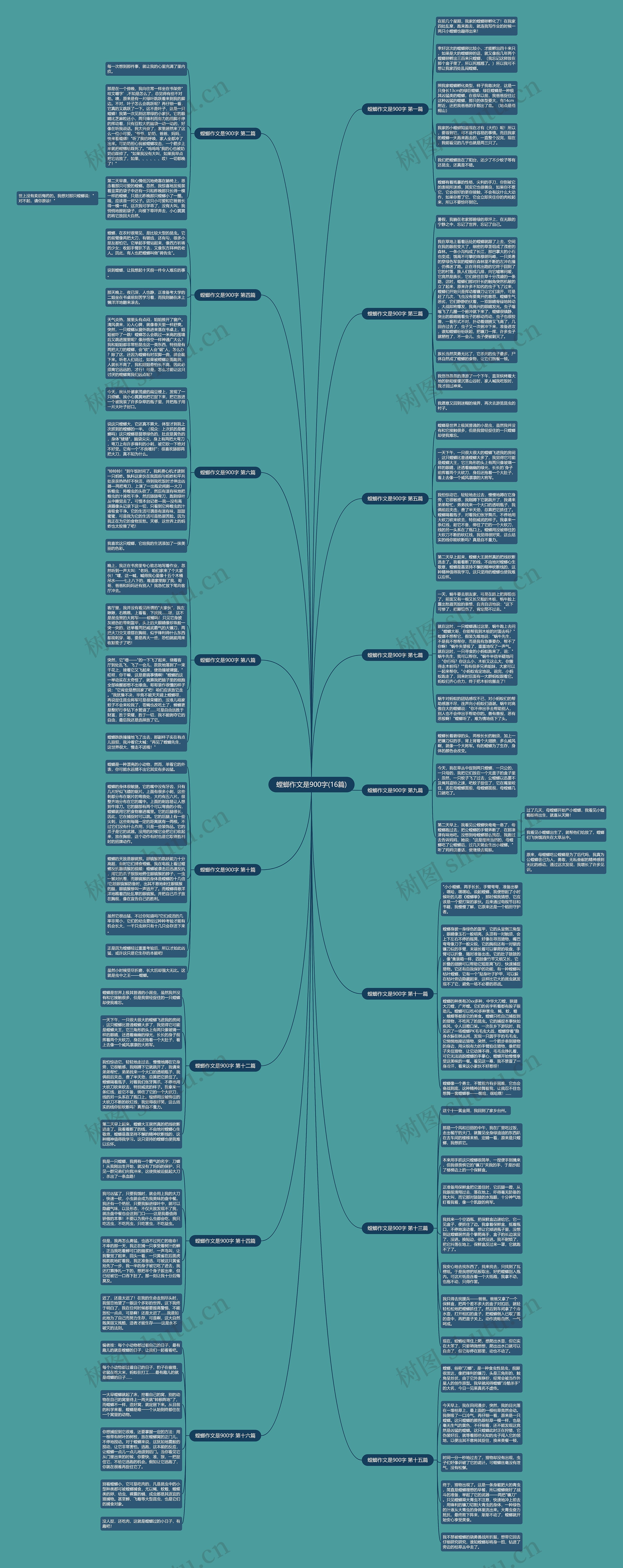 螳螂作文是900字(16篇)思维导图