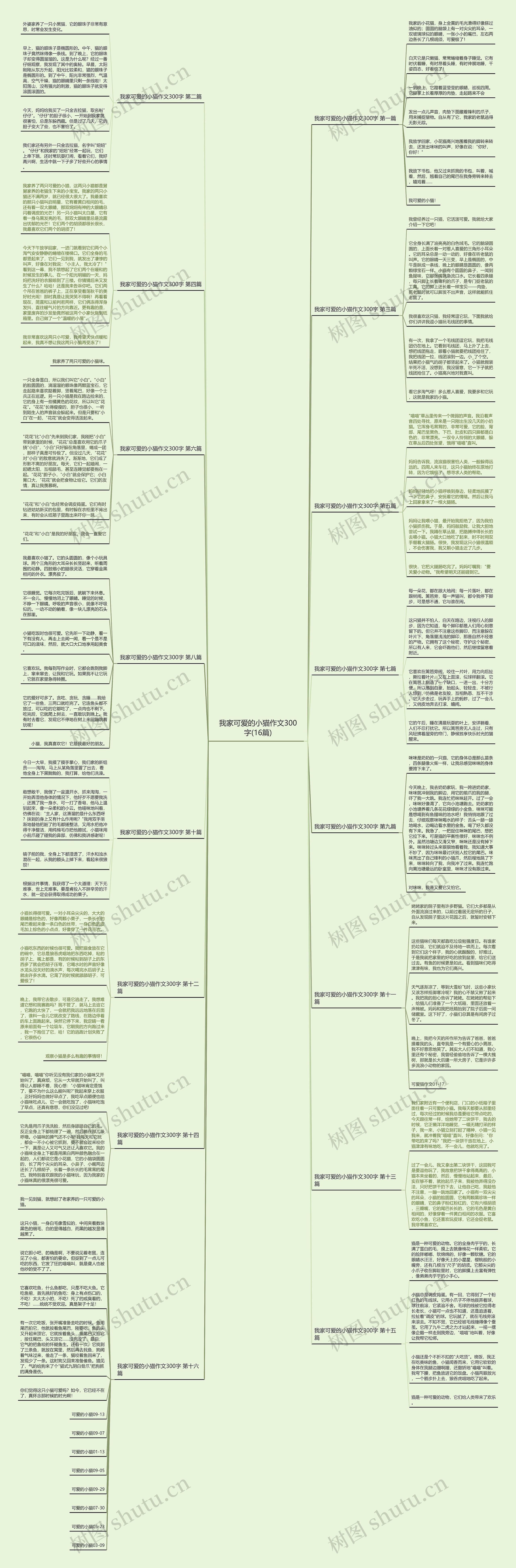 我家可爱的小猫作文300字(16篇) 我家可爱的小猫作文300字(16篇)