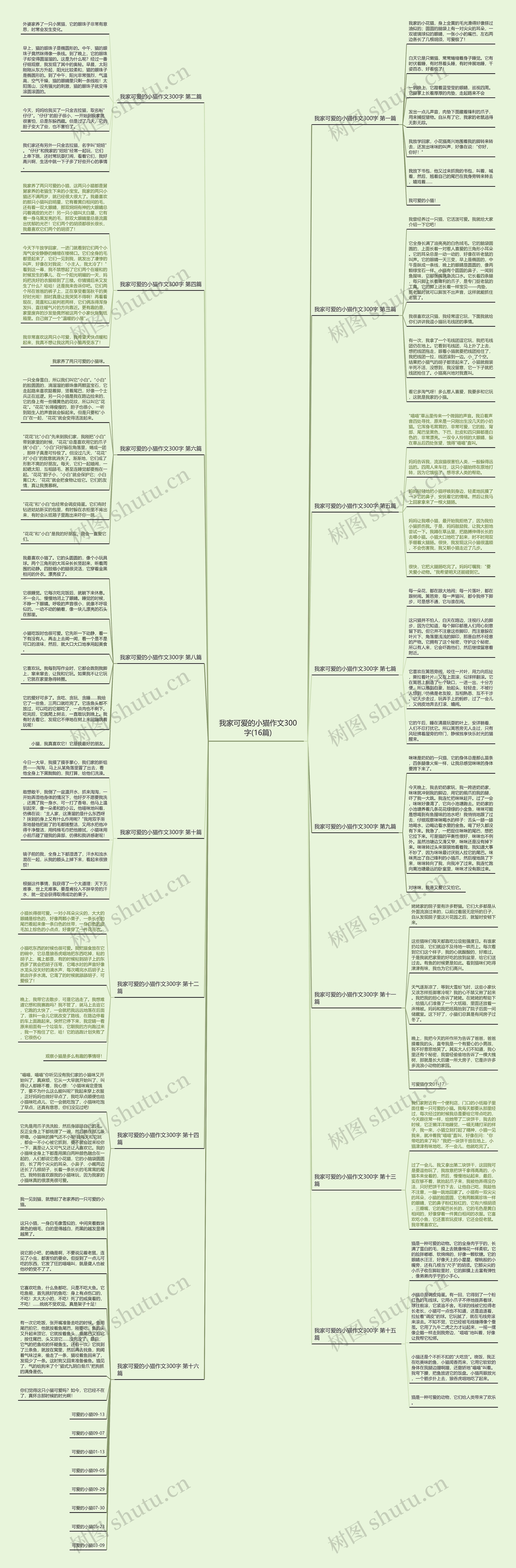 我家可爱的小猫作文300字(16篇)