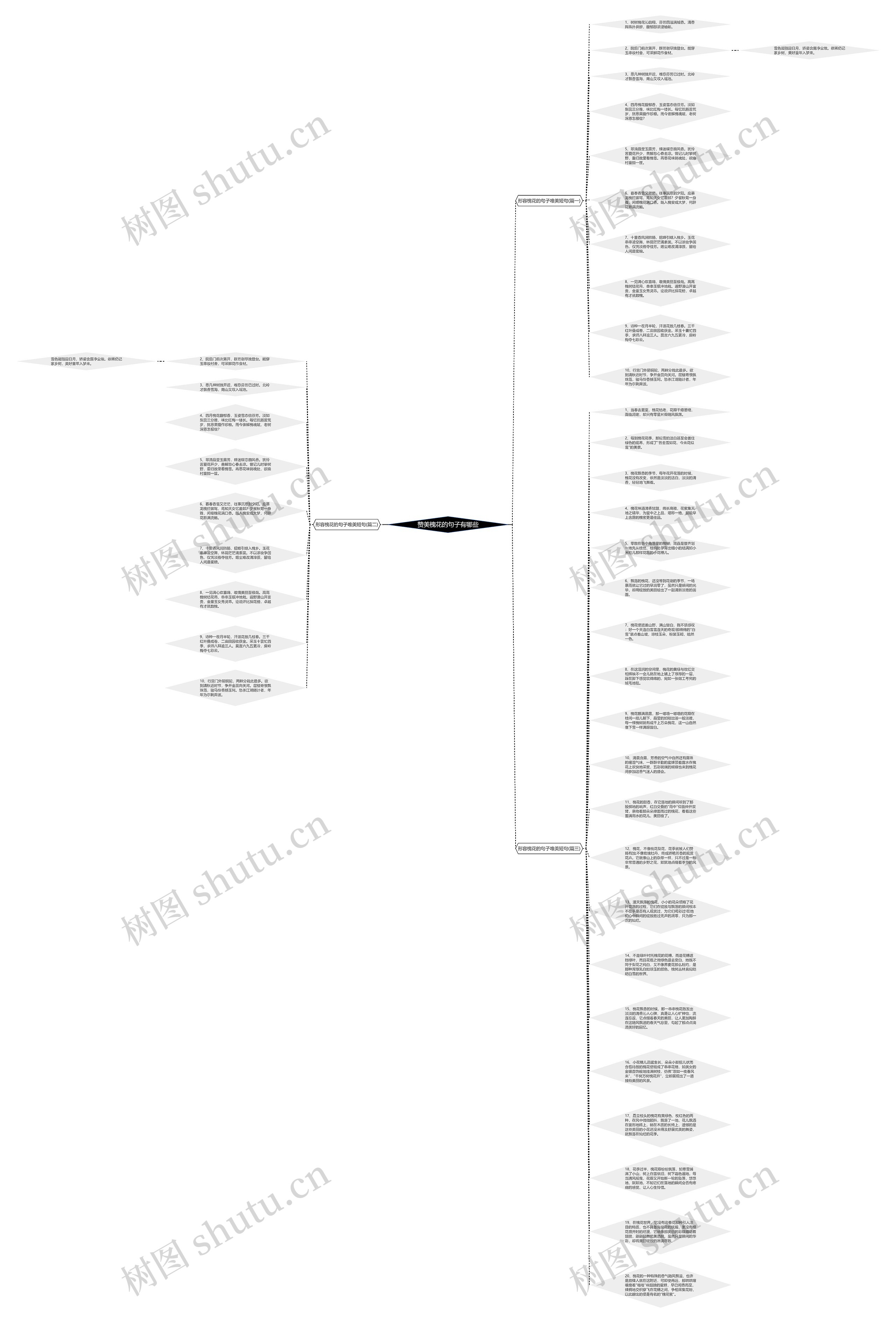 赞美槐花的句子有哪些思维导图
