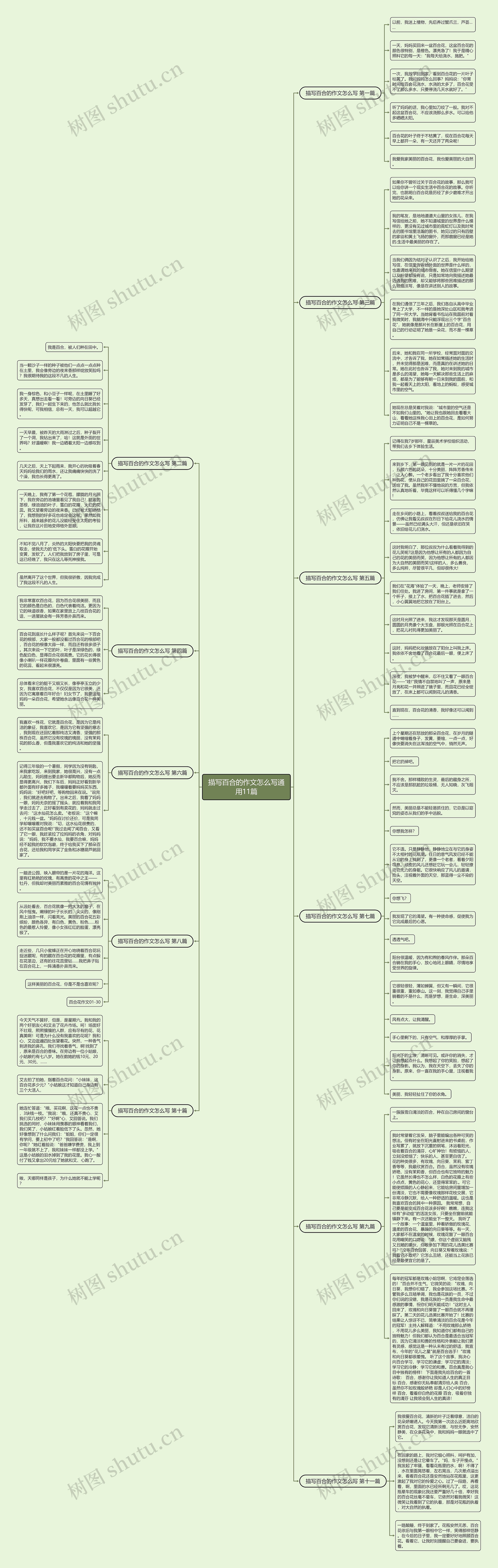 描写百合的作文怎么写通用11篇思维导图