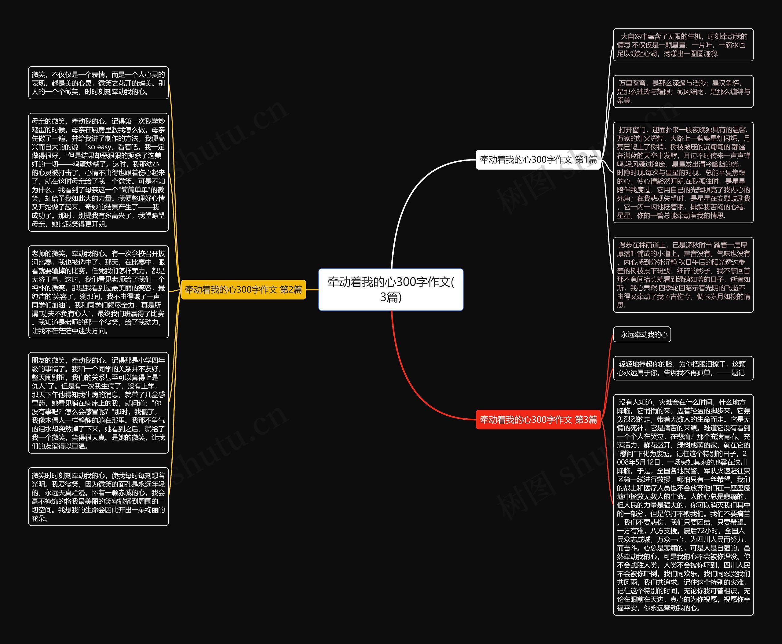牵动着我的心300字作文(3篇)思维导图